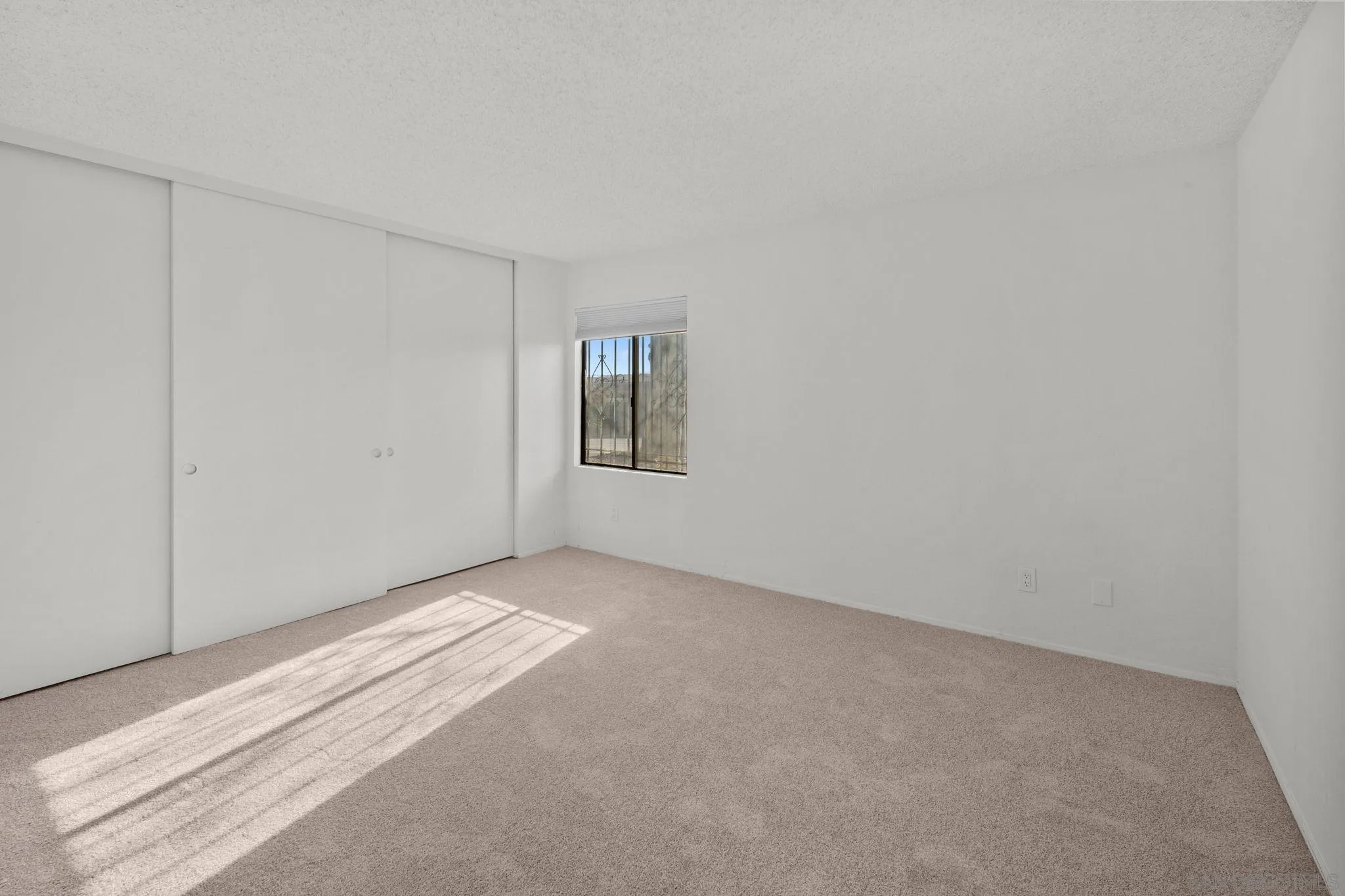Photo #22: 260019649 Listing: Photo #22