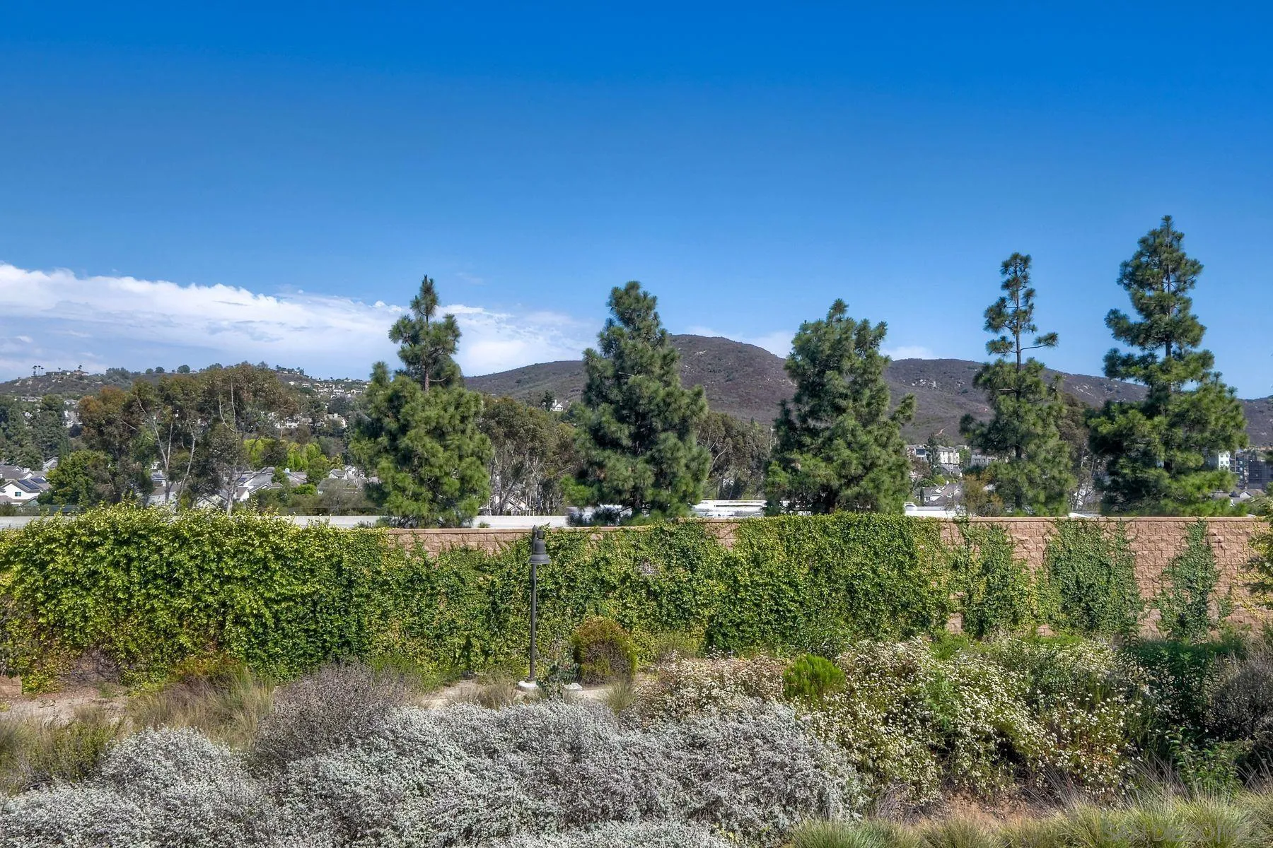 Photo #19: 260019760 Listing: Photo #19