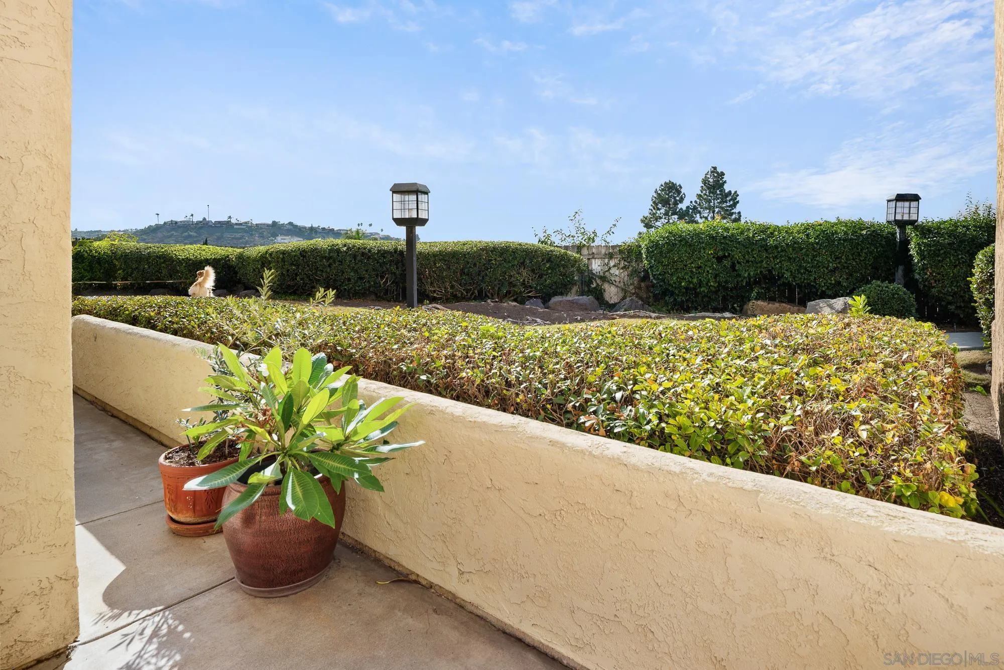 Photo #19: 260019788 Listing: Photo #19