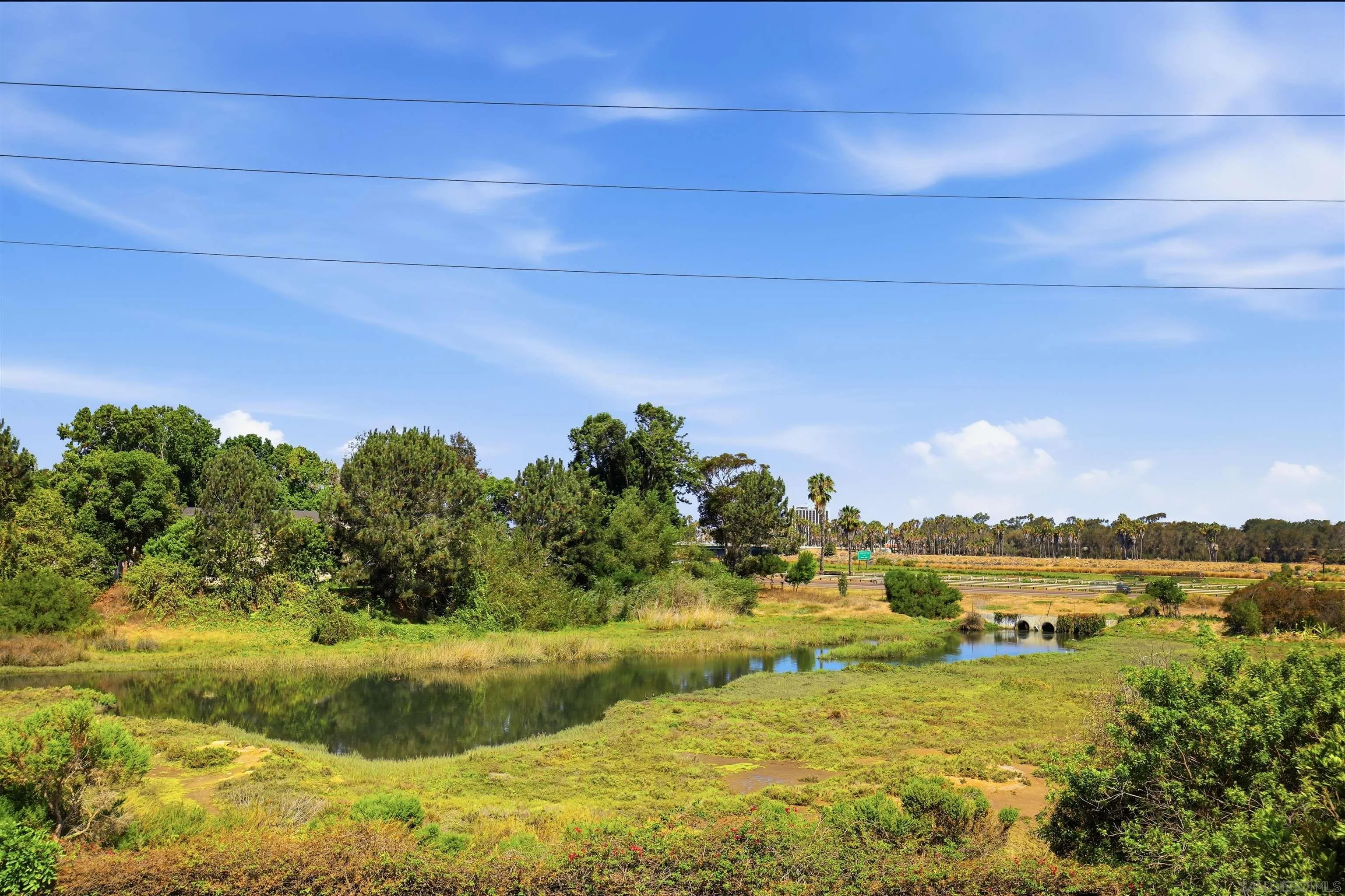 Photo #10: 260019793 Listing: Photo #10