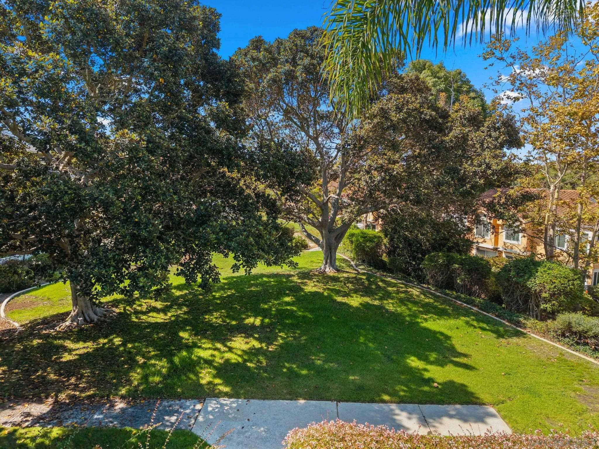Photo #42: 260019798 Listing: Photo #42