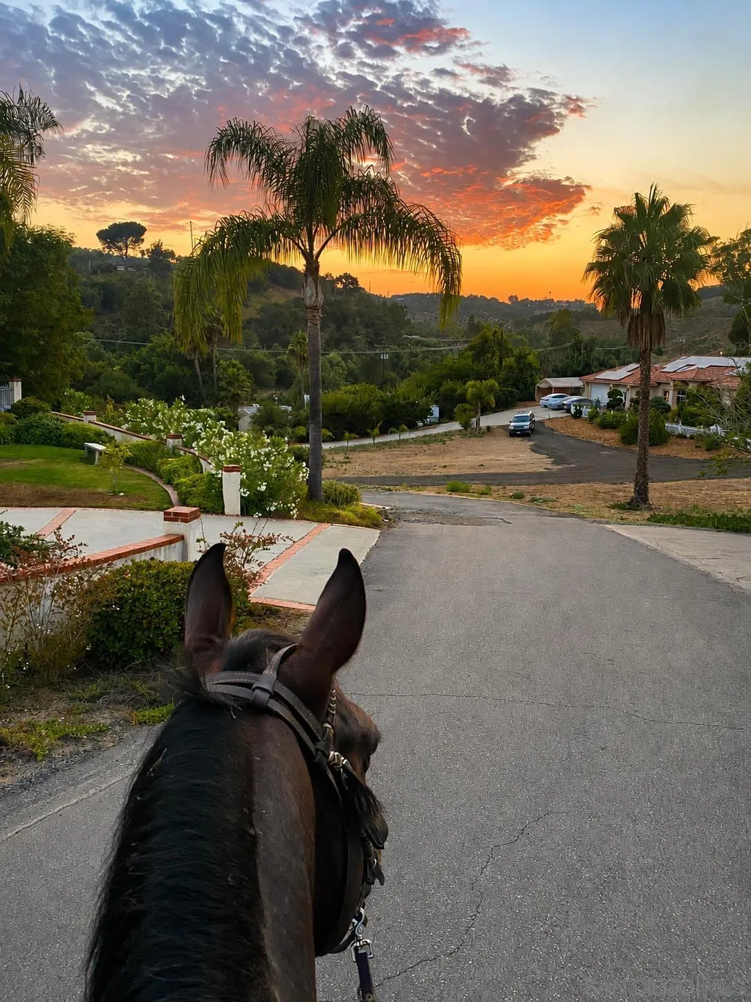 https://cdn.realtyfeed.com/cdn/127/260019819/fb7b3a843b312653d2fa866a39ec47ca.webp