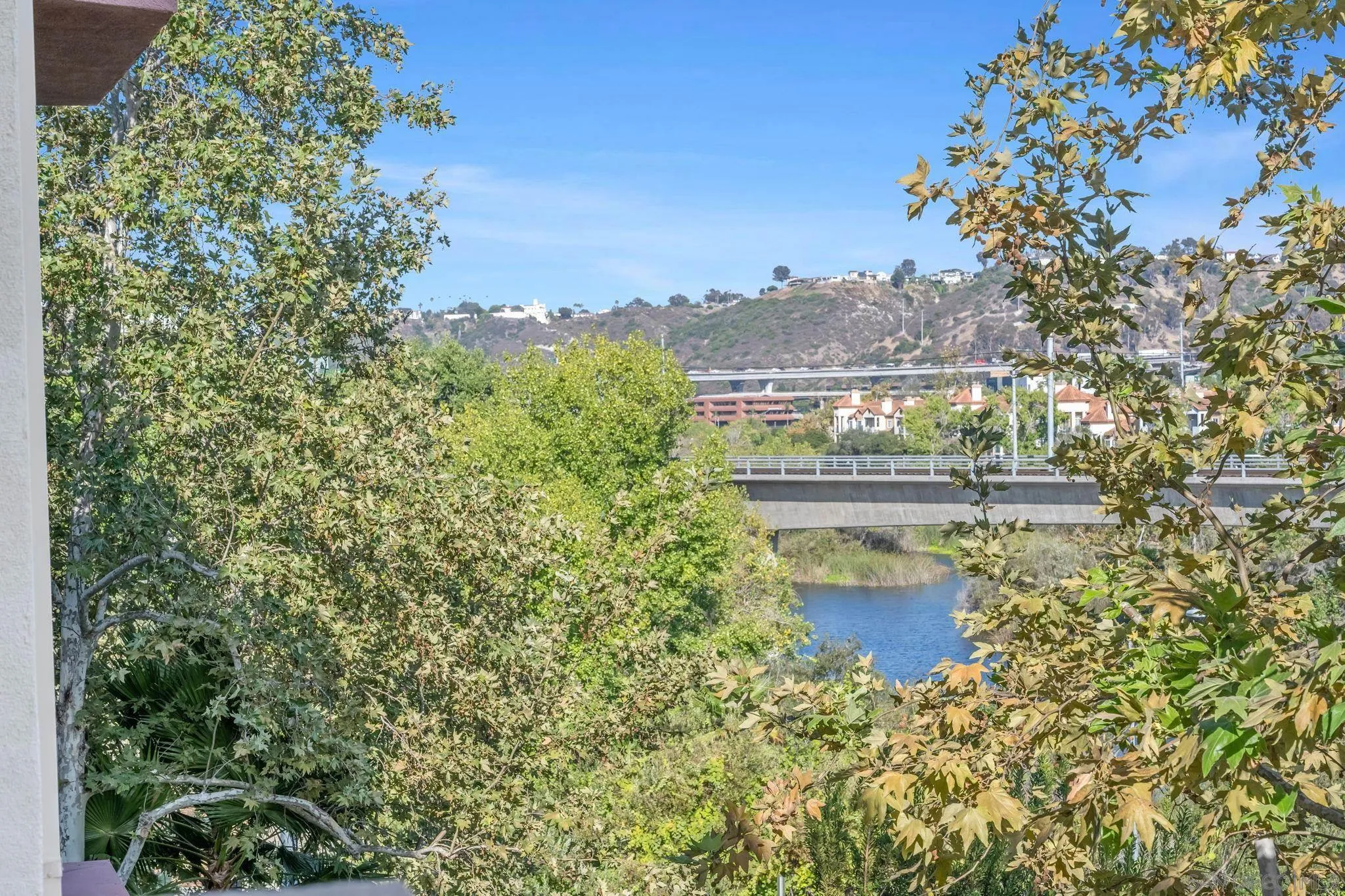 Photo #18: 260019857 Listing: Photo #18