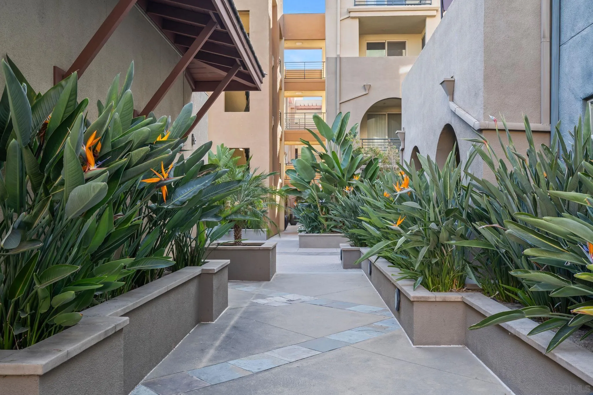 Photo #62: 260019857 Listing: Photo #62
