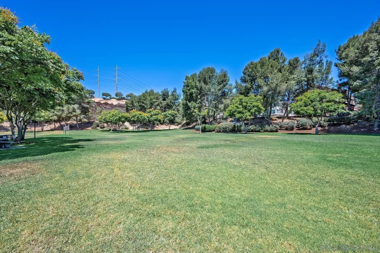 Photo #46: 260019863 Listing: Photo #46
