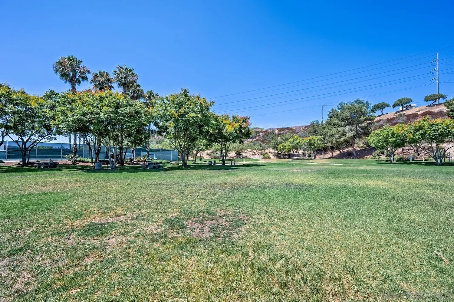 Photo #47: 260019863 Listing: Photo #47
