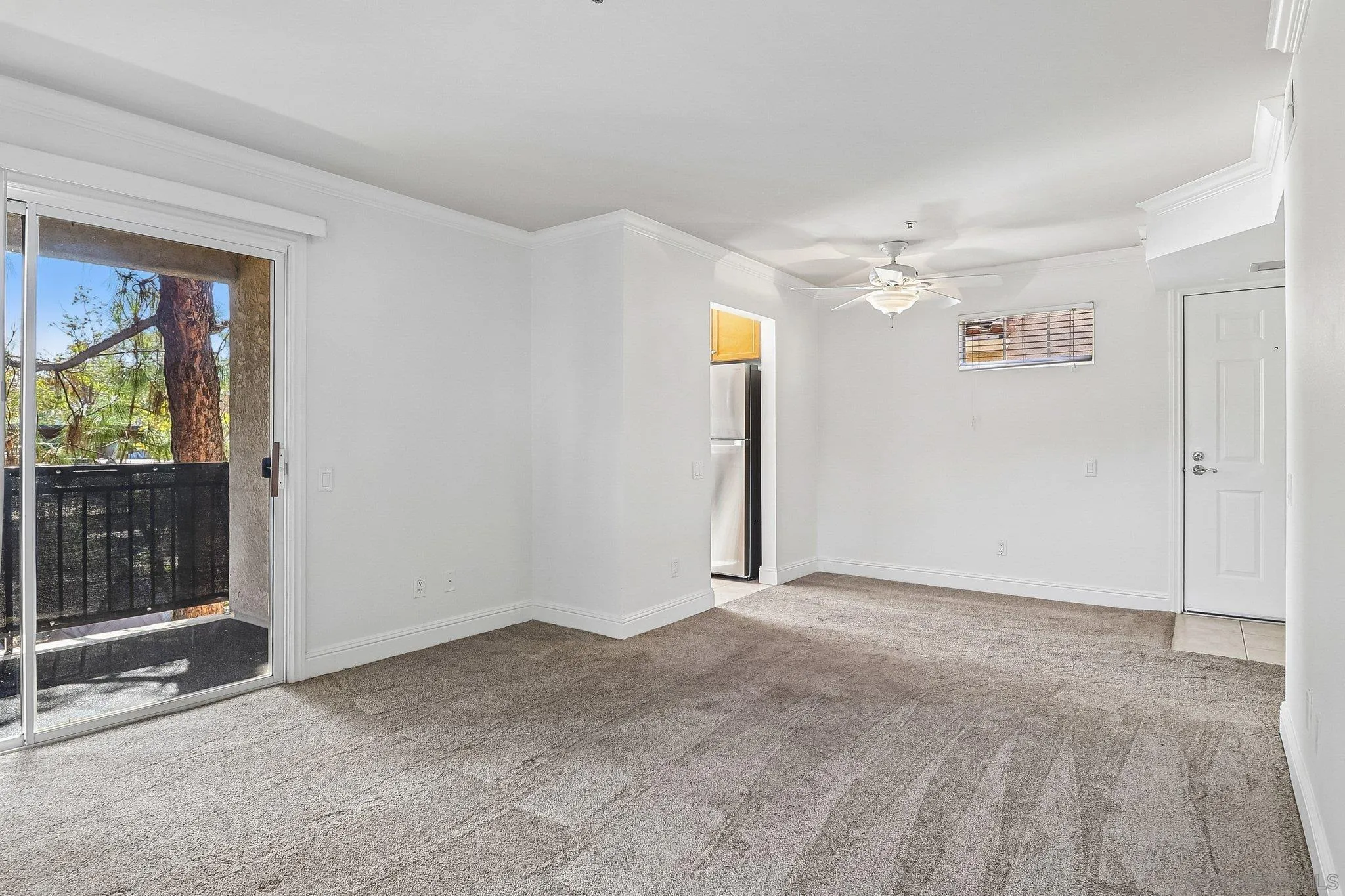 Photo #6: 260019887 Listing: Photo #6