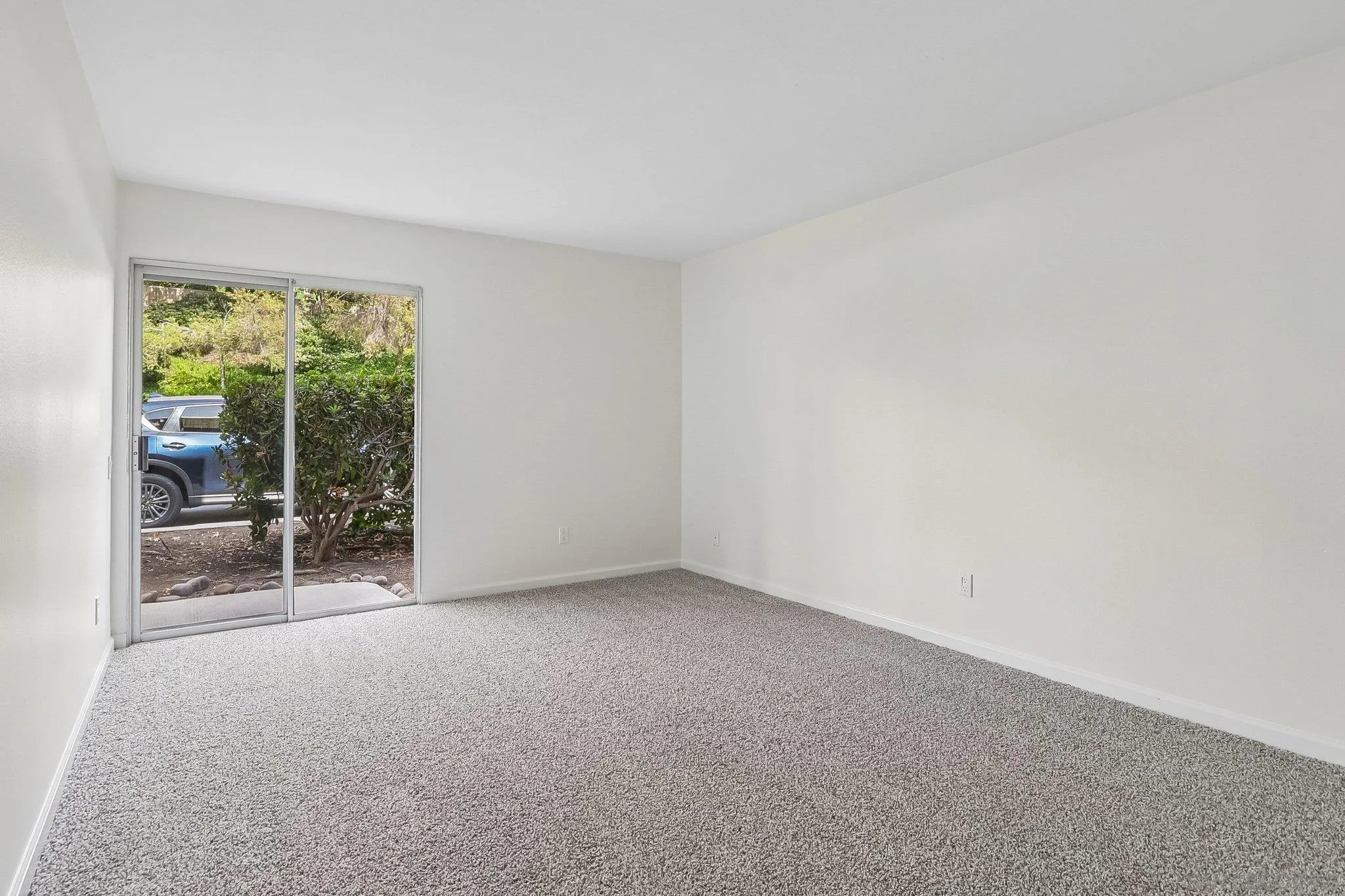 Photo #13: 260019930 Listing: Photo #13