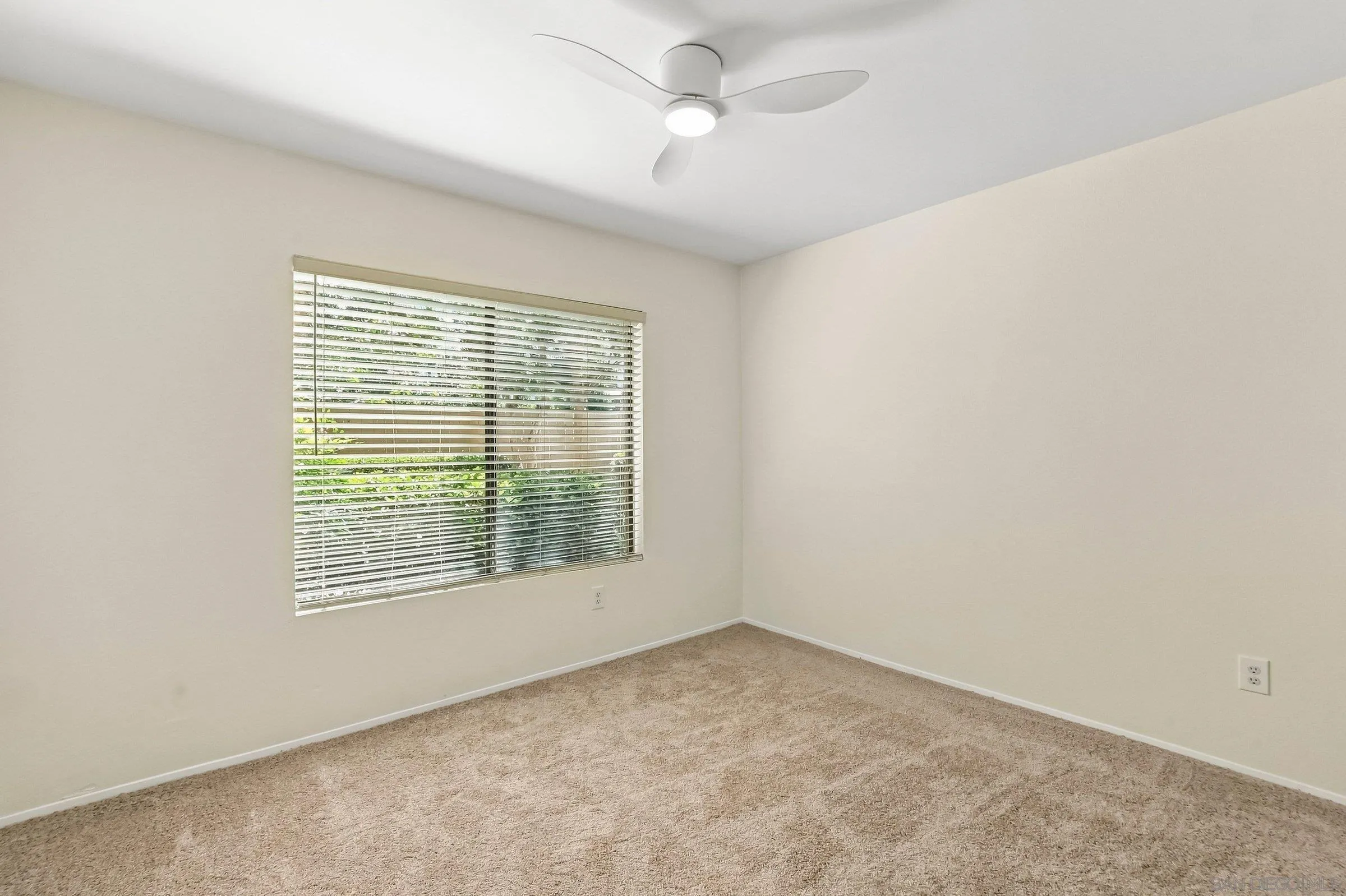 Photo #12: 260019956 Listing: Photo #12
