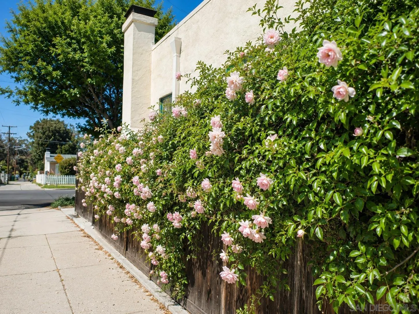3827 Madison, San Diego, CA 92116 - Photo 2 of 6, San Diego, CA