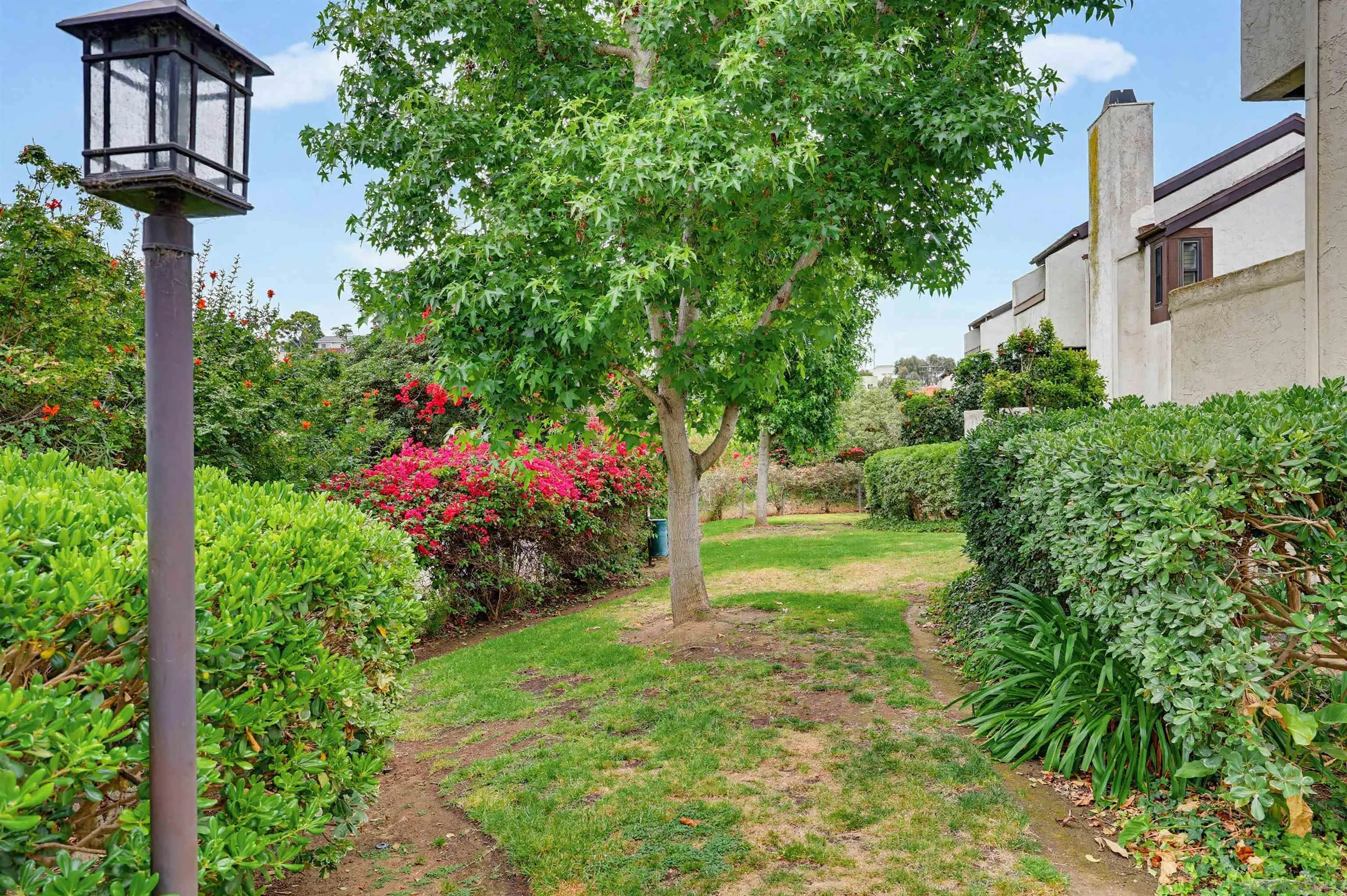 Photo #36: 260020197 Listing: Photo #36