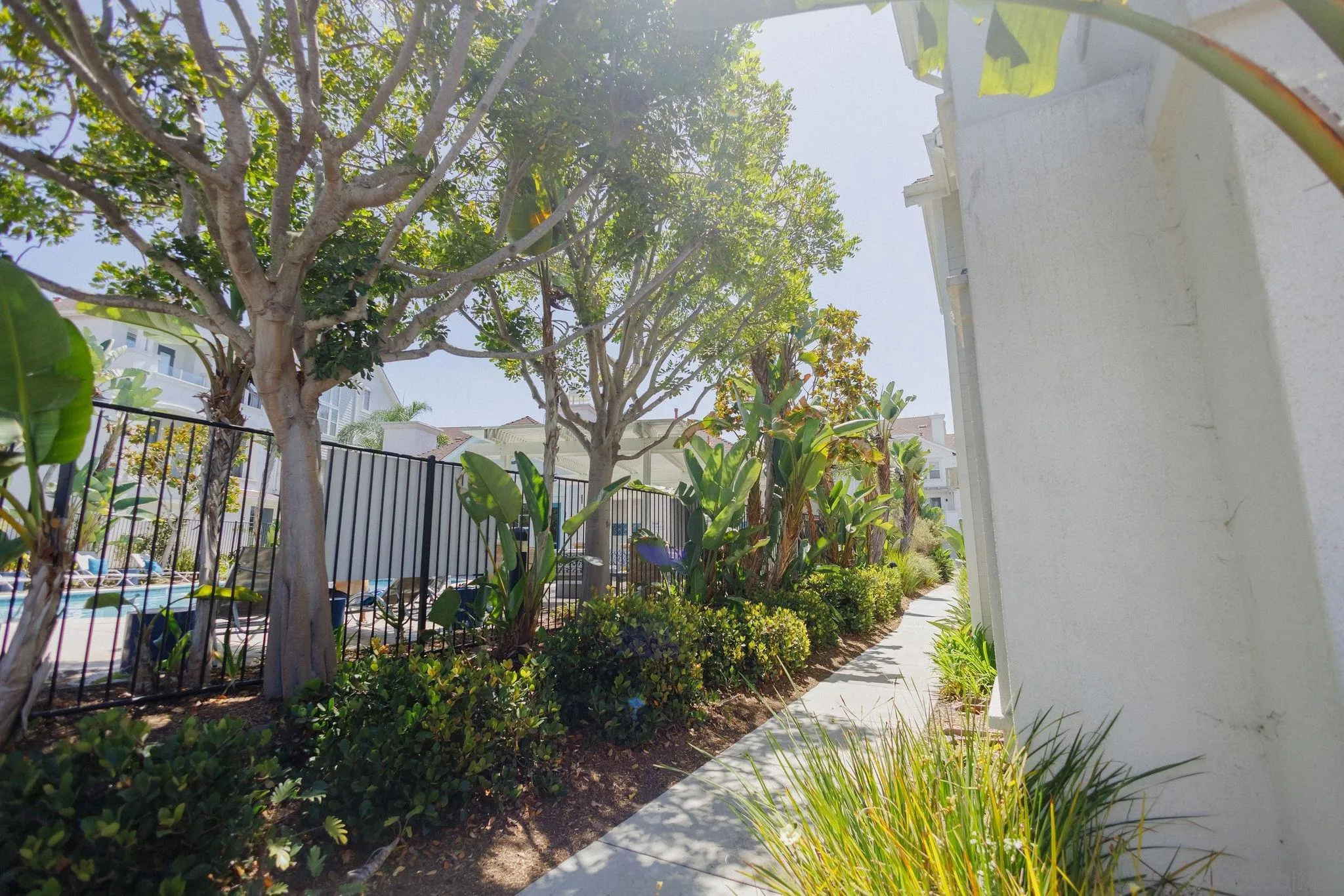 Photo #48: 260020291 Listing: Photo #48