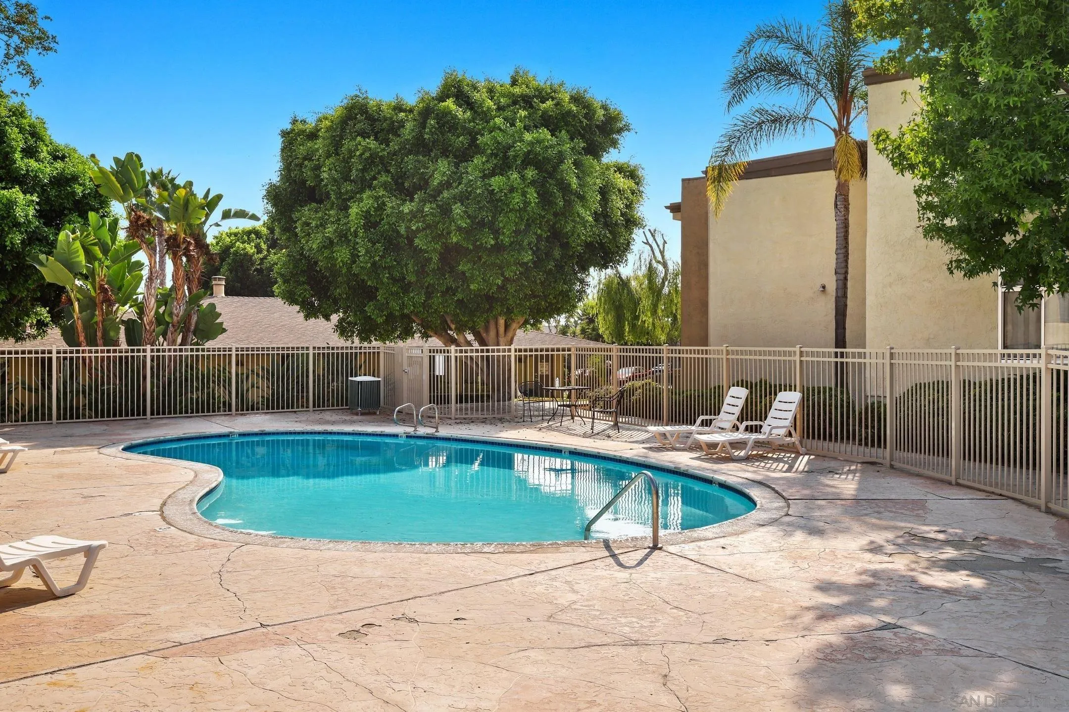 Photo #28: 260020331 Listing: Photo #28