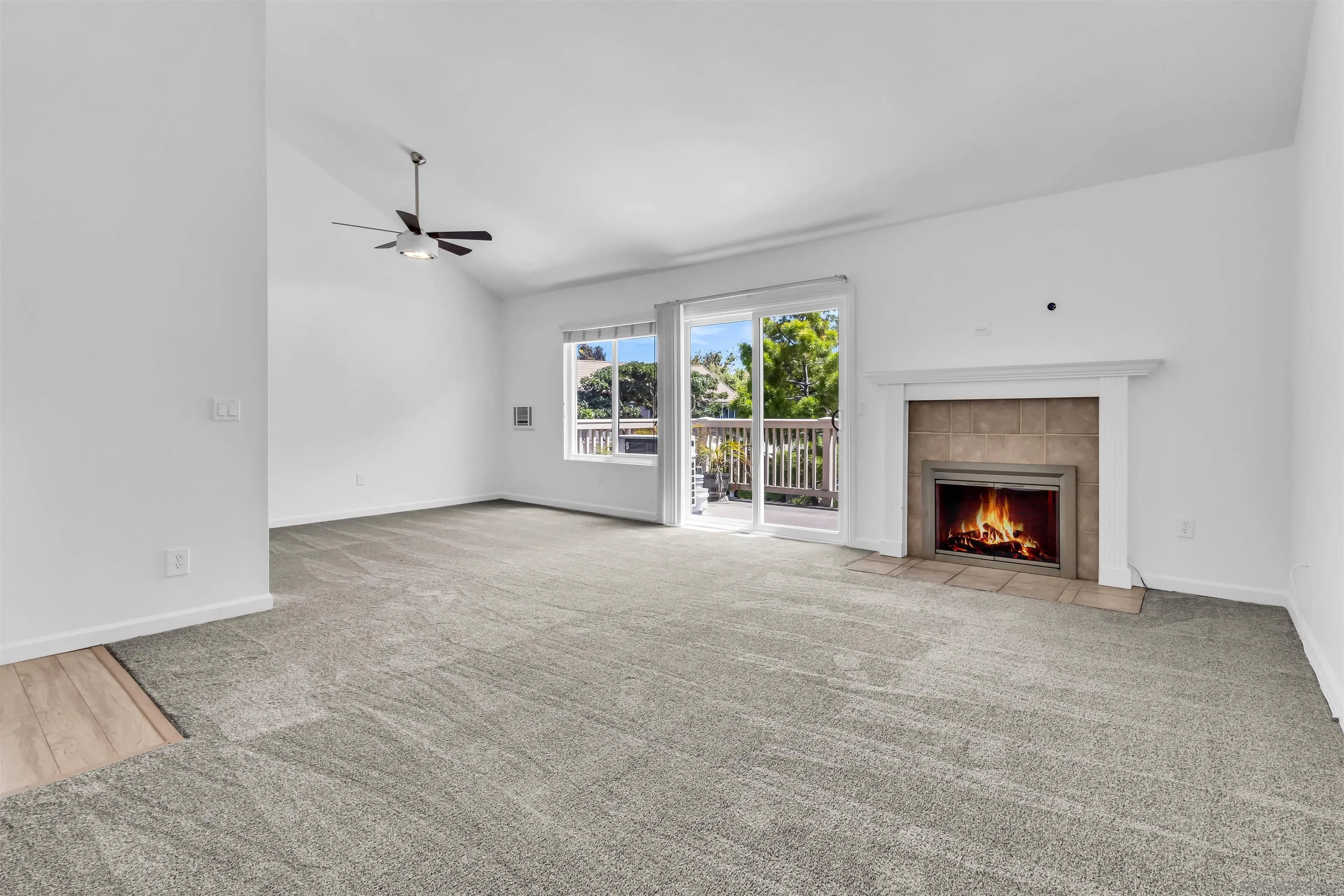 Photo #11: 260020362 Listing: Photo #11
