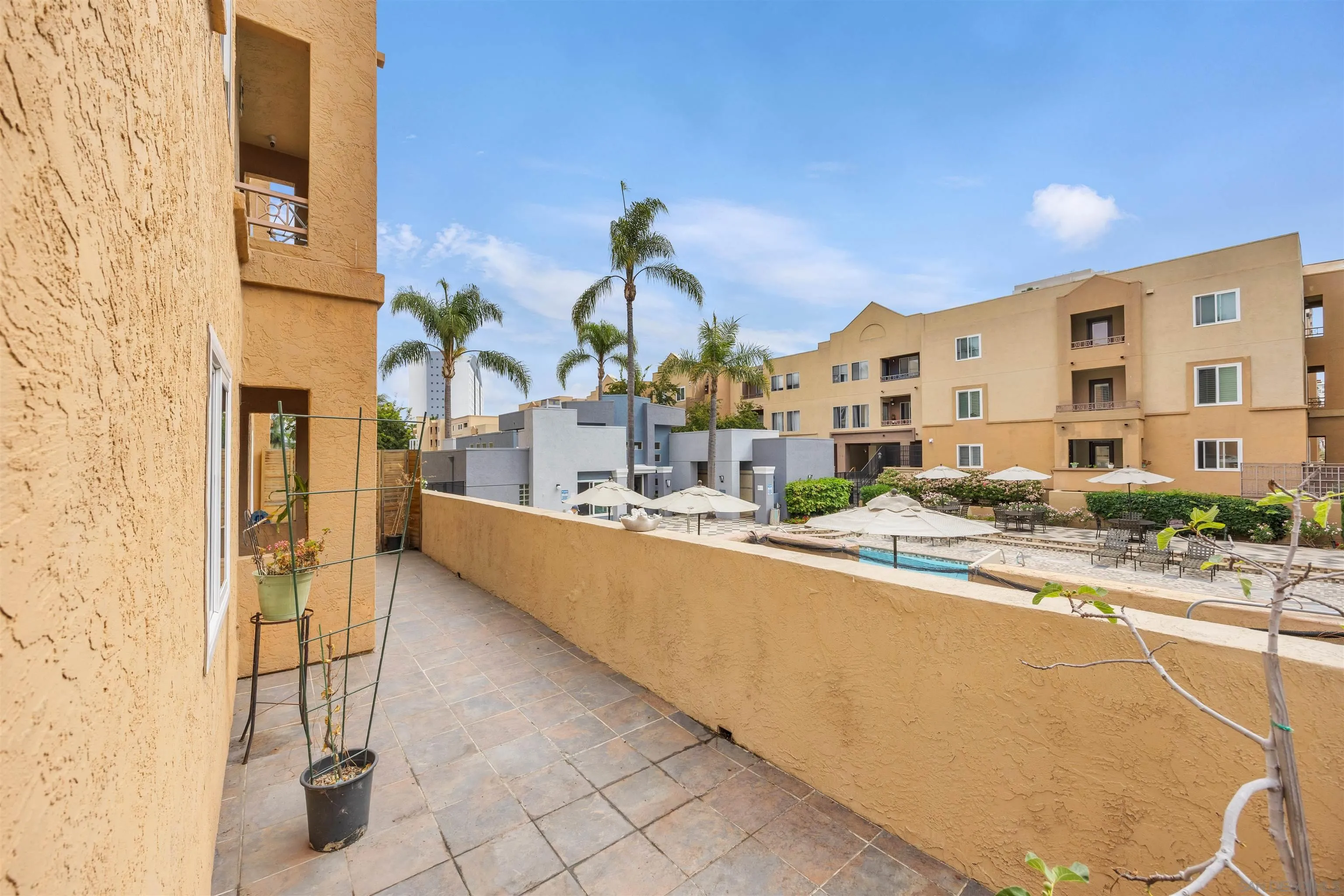 Photo #25: 260020491 Listing: Photo #25