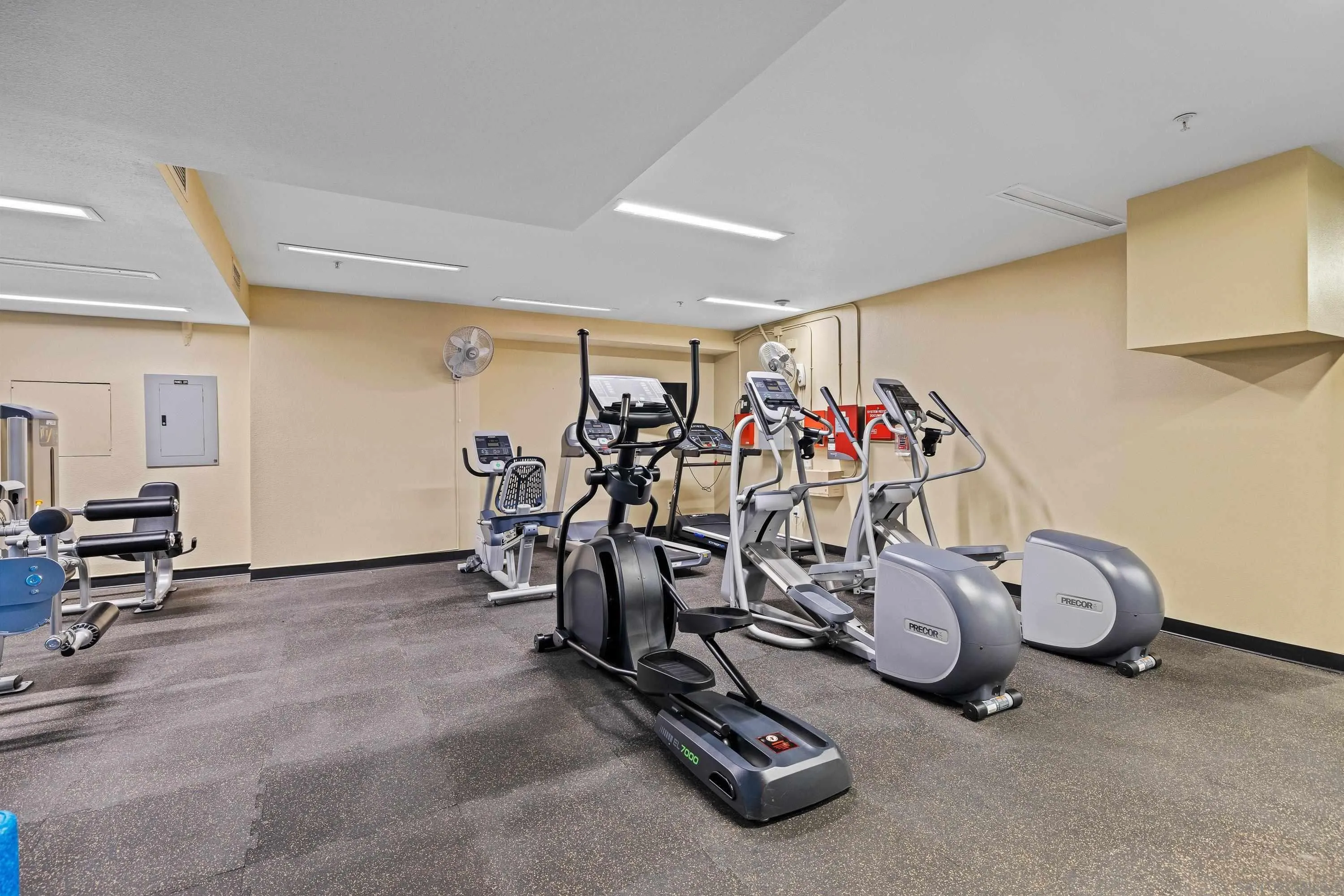 Photo #15: 260020521 Listing: Photo #15