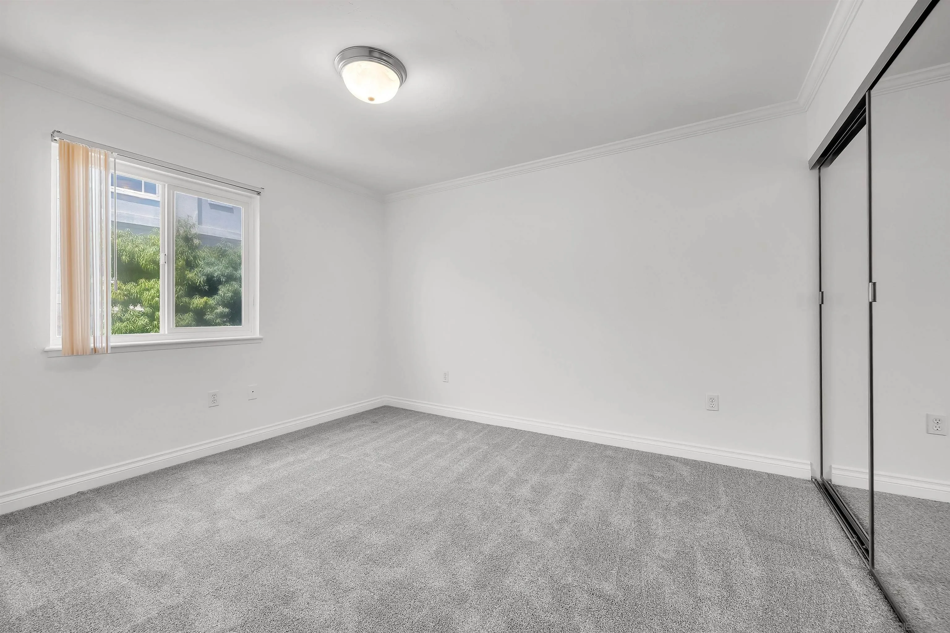 Photo #14: 260020549 Listing: Photo #14