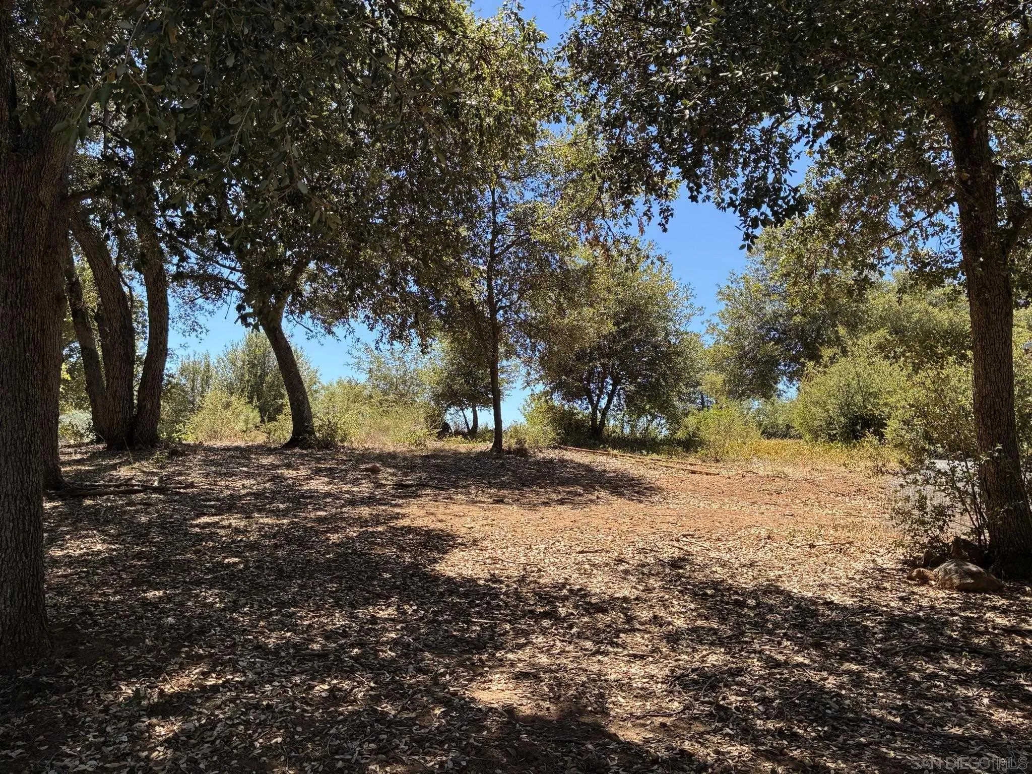0 Frisius Unit 1, Julian, CA 92036 - Photo 5 of 10, Julian, CA