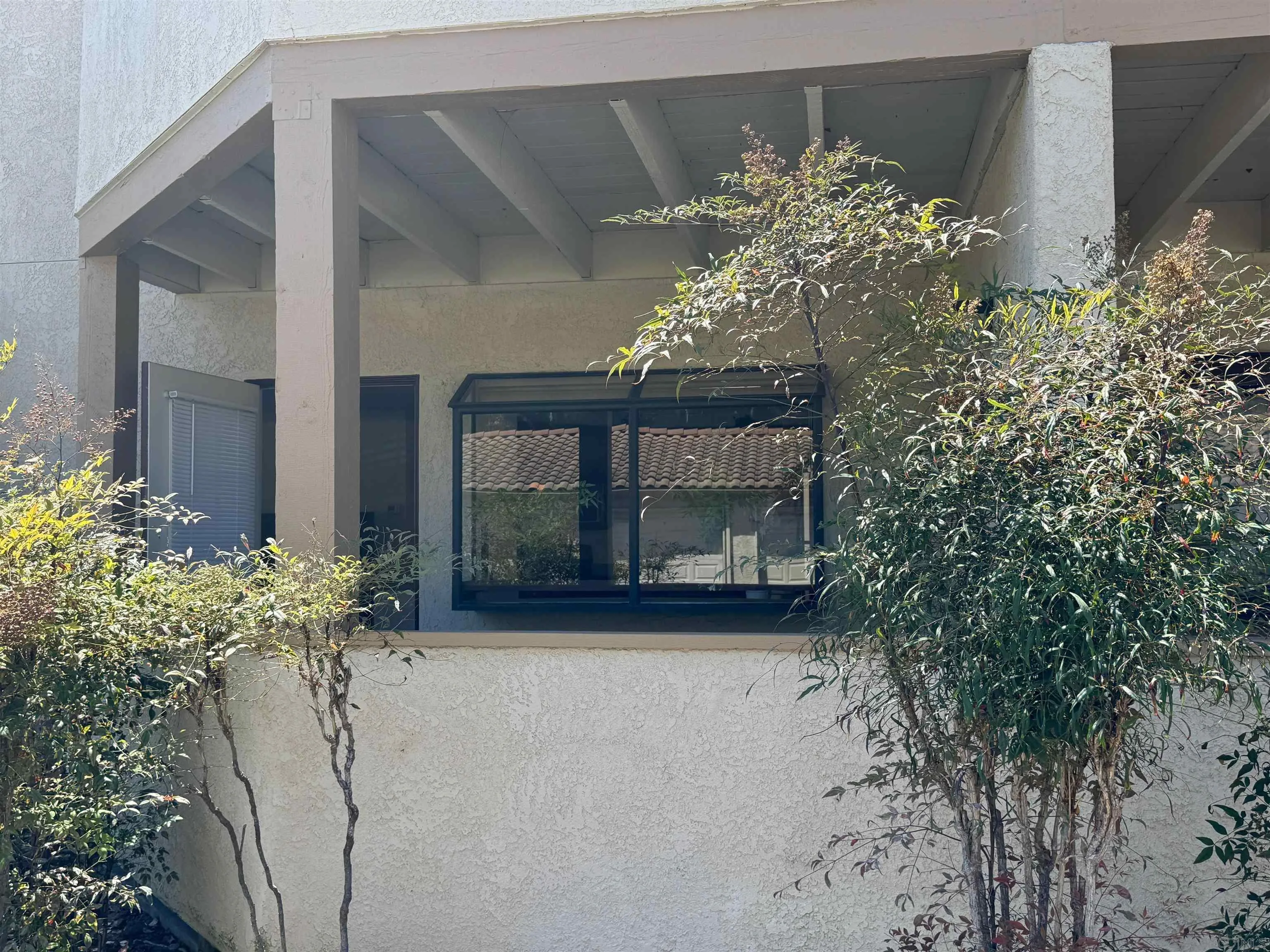 Photo #19: 260020646 Listing: Photo #19