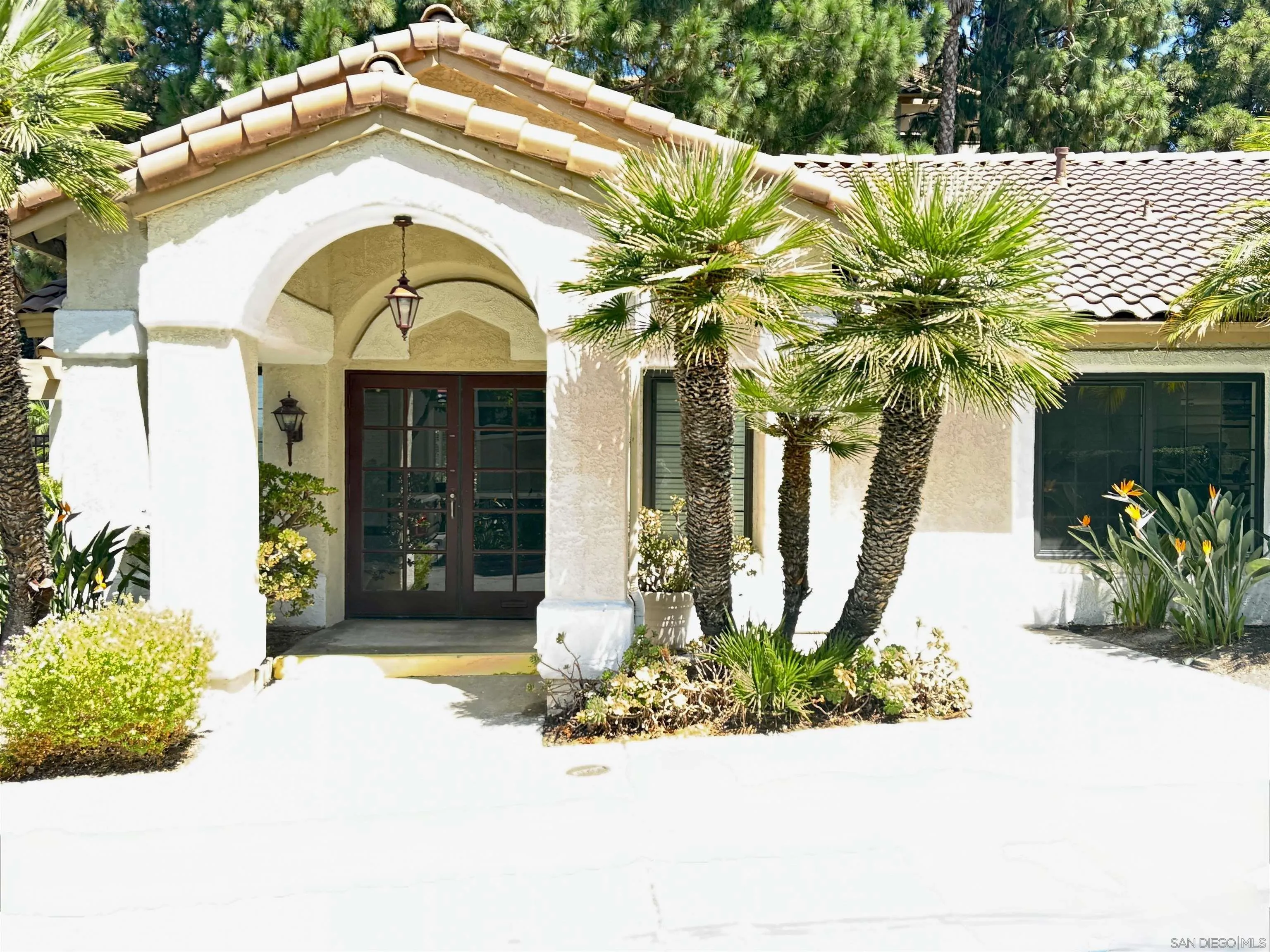 Photo #29: 260020646 Listing: Photo #29