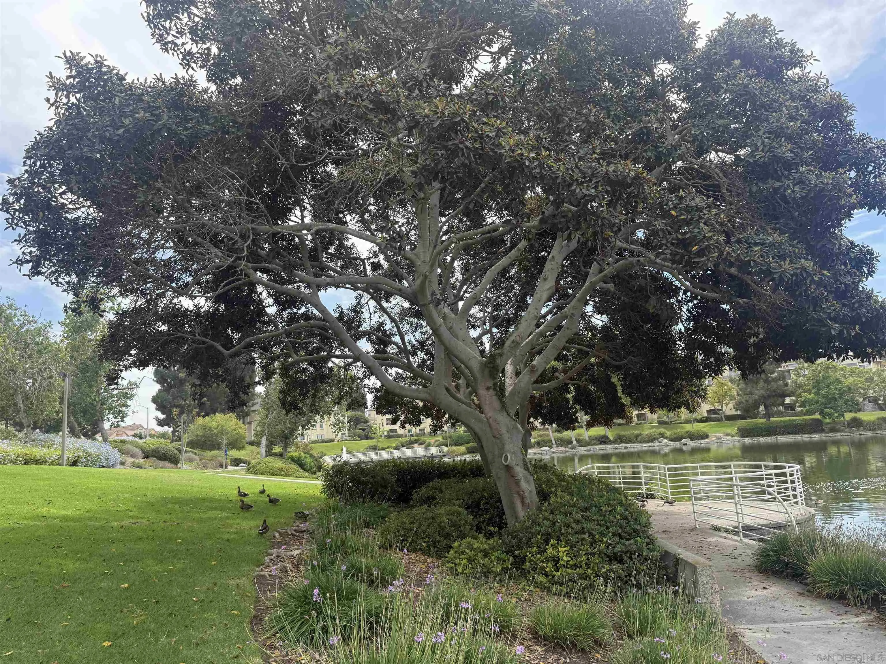 Photo #27: 260020692 Listing: Photo #27
