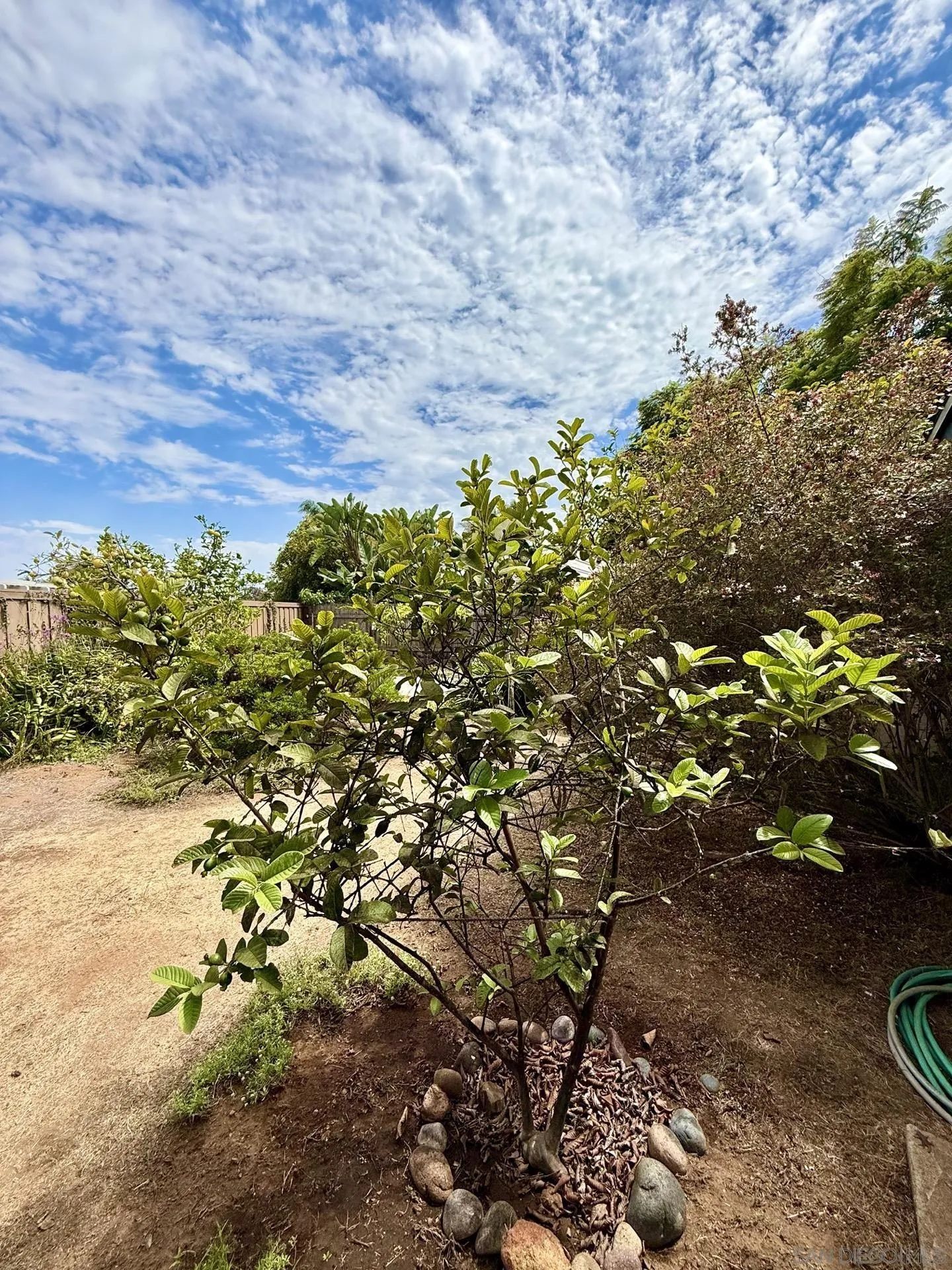 https://cdn.realtyfeed.com/cdn/127/260020895/78679f59b8383967f30ffe825c620174.webp