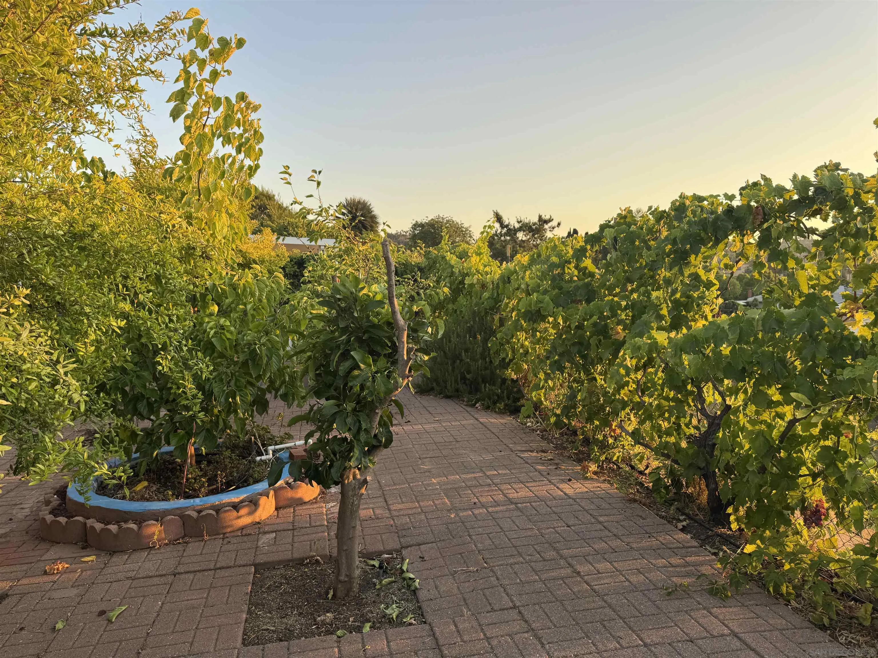 16846 Dominican, San Diego, CA 92128 - Photo 3 of 4, San Diego, CA