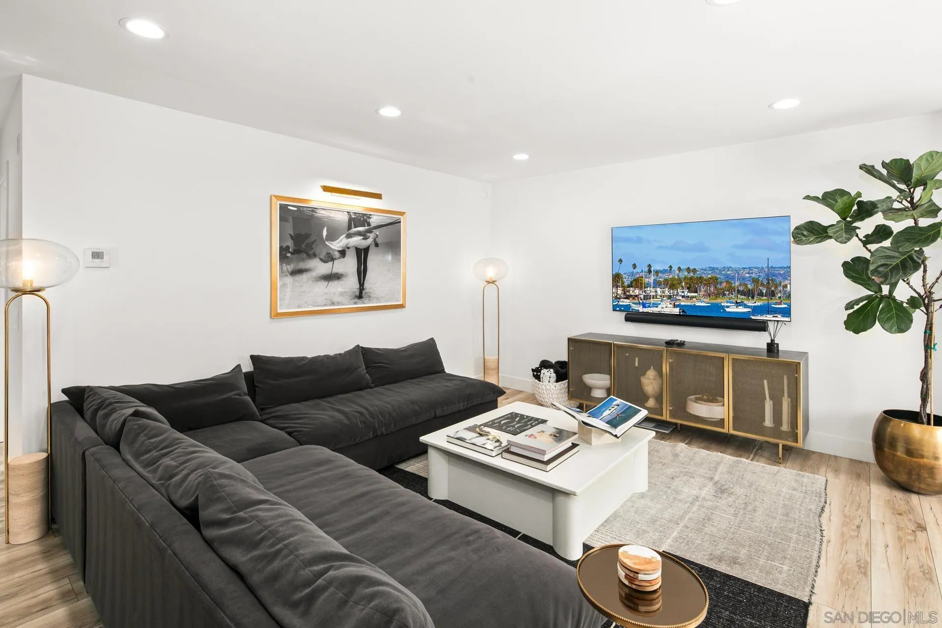 364 Pacific Ave, Solana Beach, CA 92075 - Photo 5 of 42, Solana Beach, CA