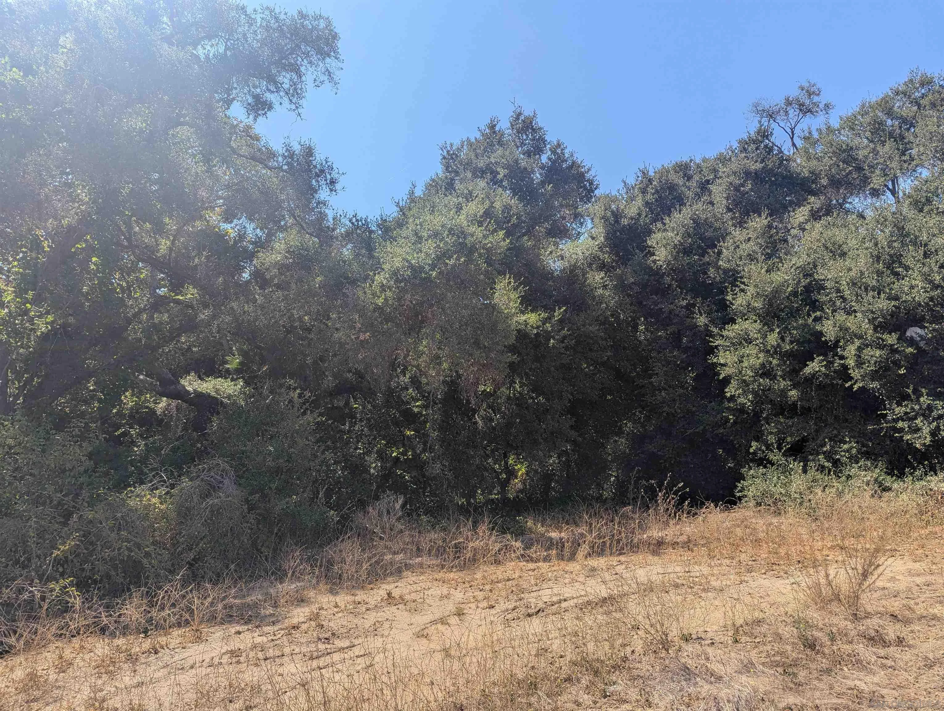 2935 S Mission Rd Unit 2, Fallbrook, CA 92028 - Photo 4 of 5, Fallbrook, CA