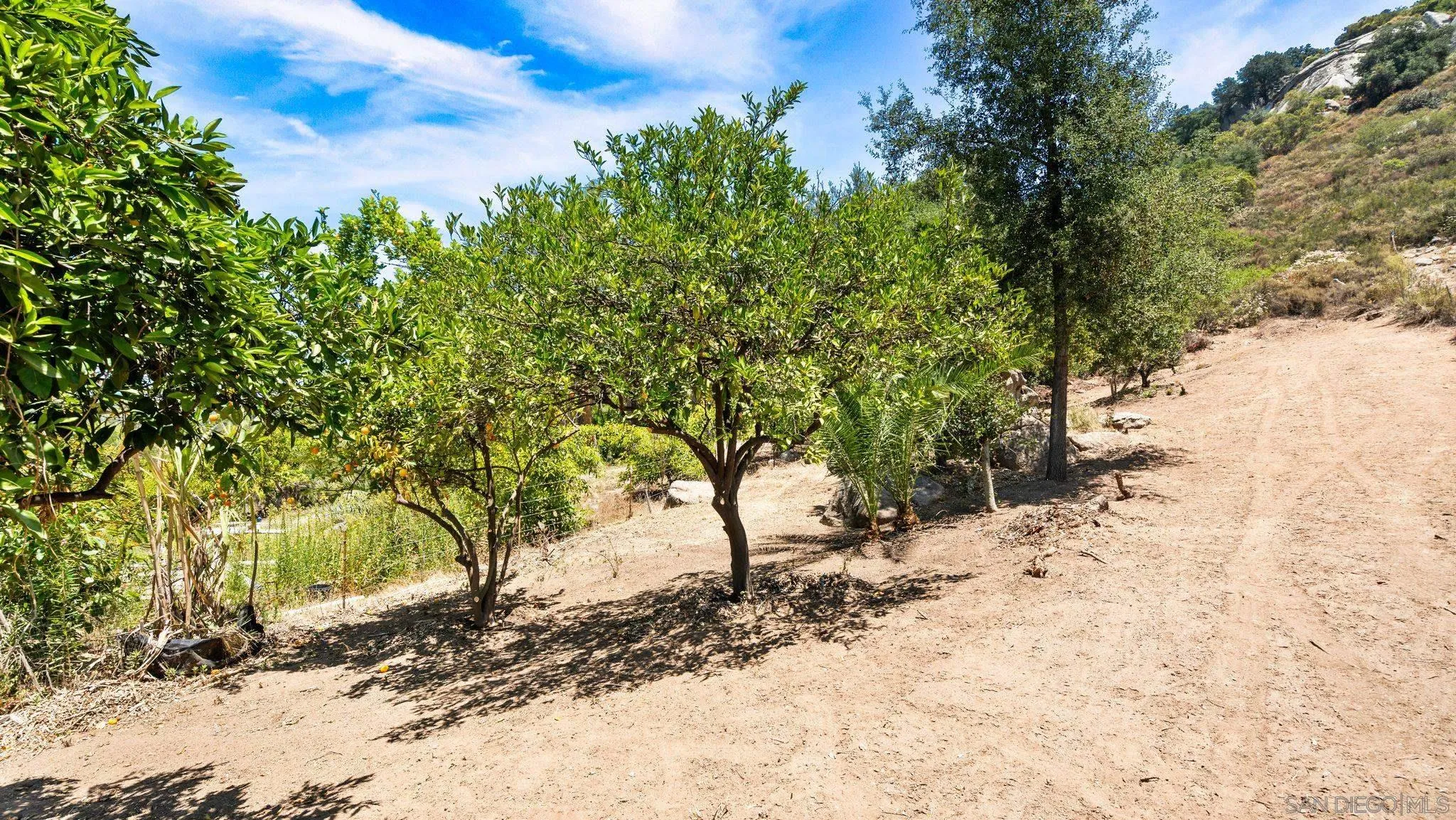 https://cdn.realtyfeed.com/cdn/127/260021894/204f24d8e16233919af75e045de1fb61.webp