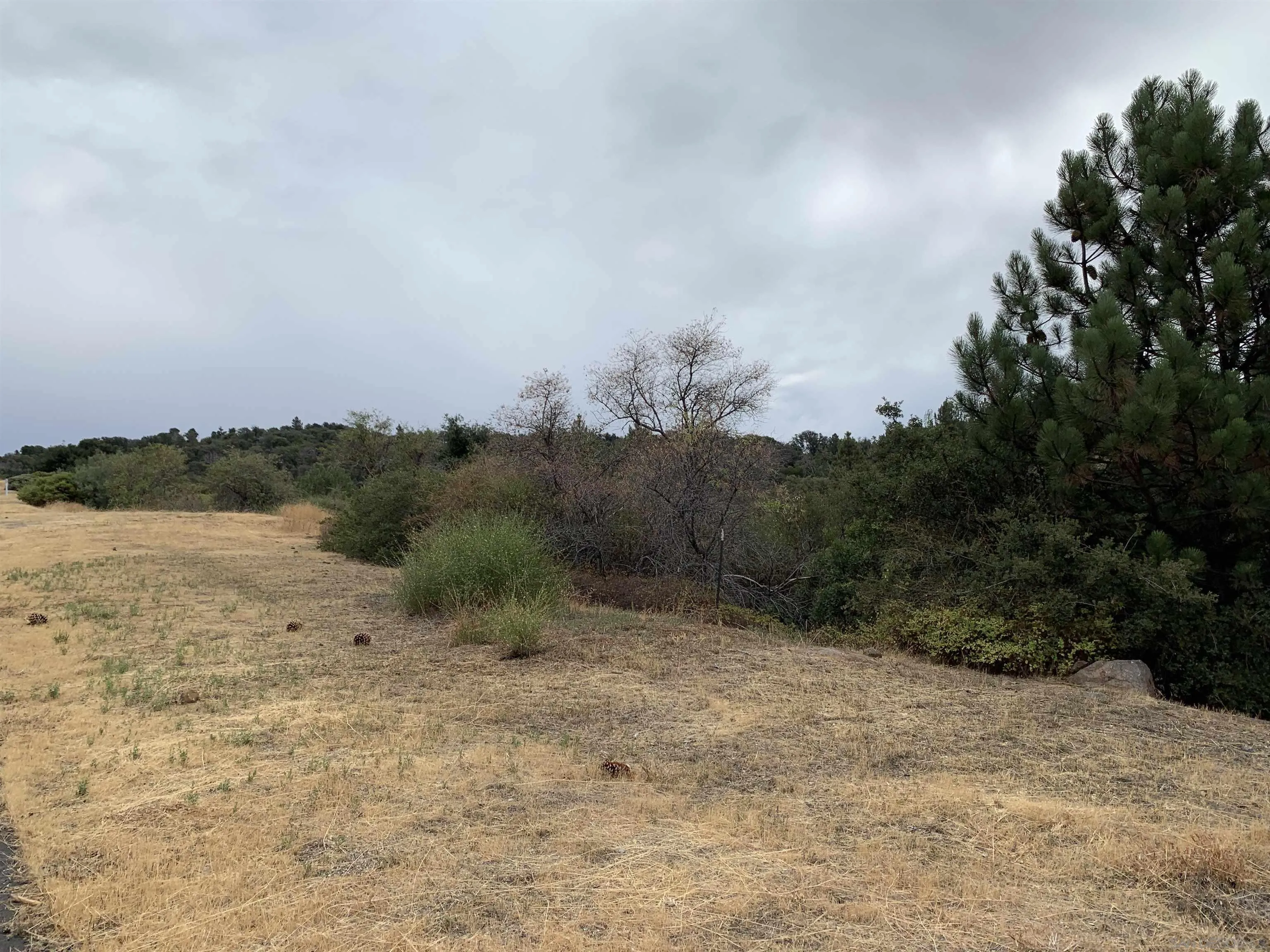 0 Incense Cedar Rd Unit 40, Julian, CA 92036 - Photo 5 of 20, Julian, CA