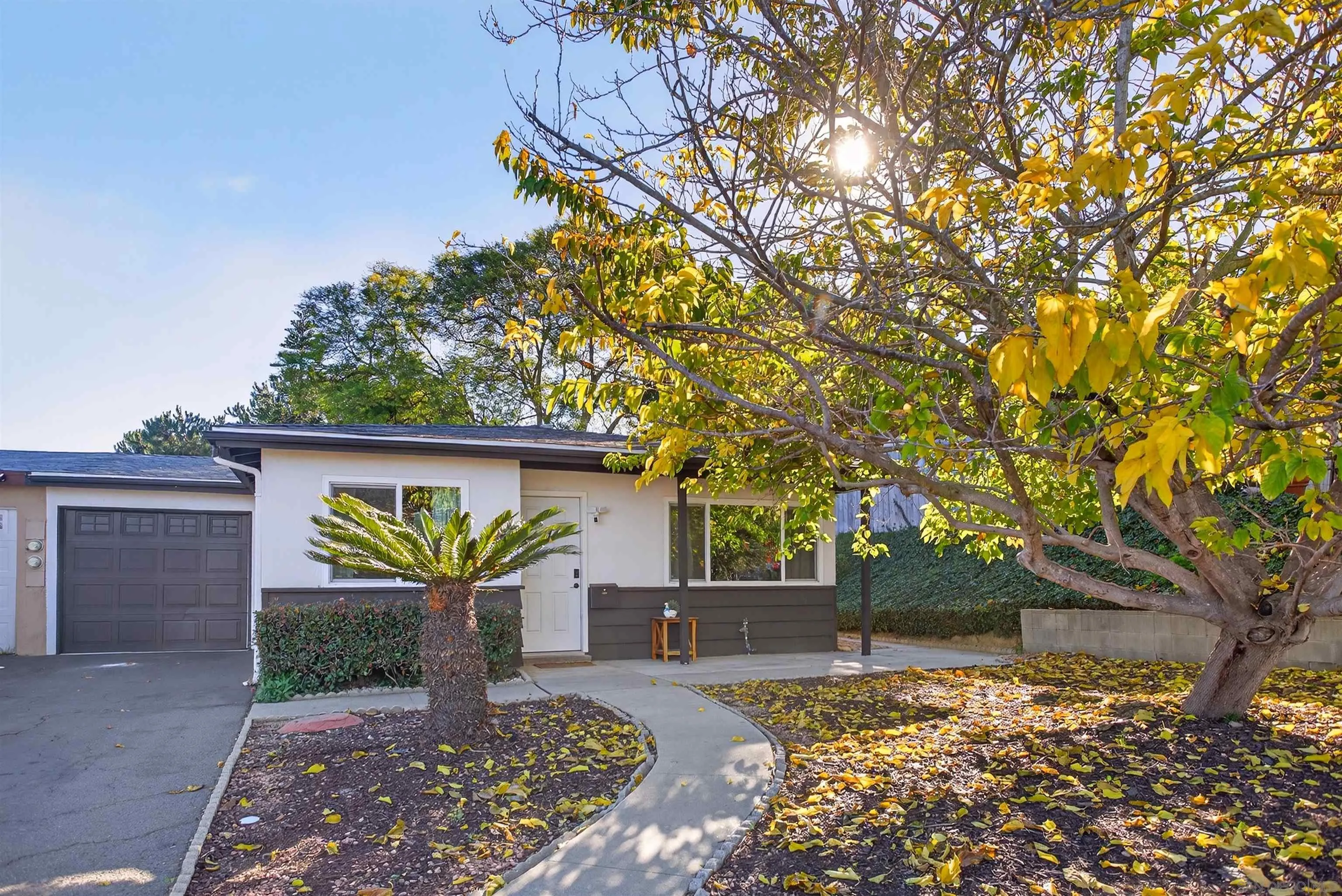 Photo #1: 2600222 Listing: Photo #1