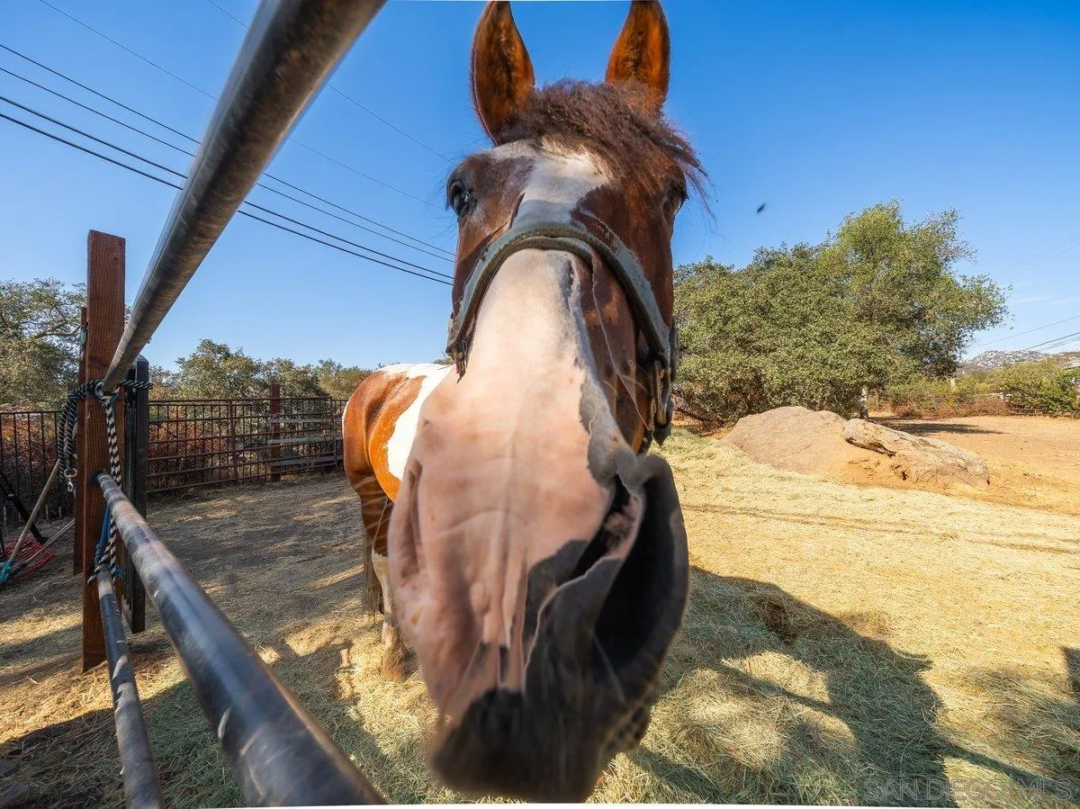 https://cdn.realtyfeed.com/cdn/127/260022268/bab7d39f5dd8768a2bc3c77ae19c5fd5.webp