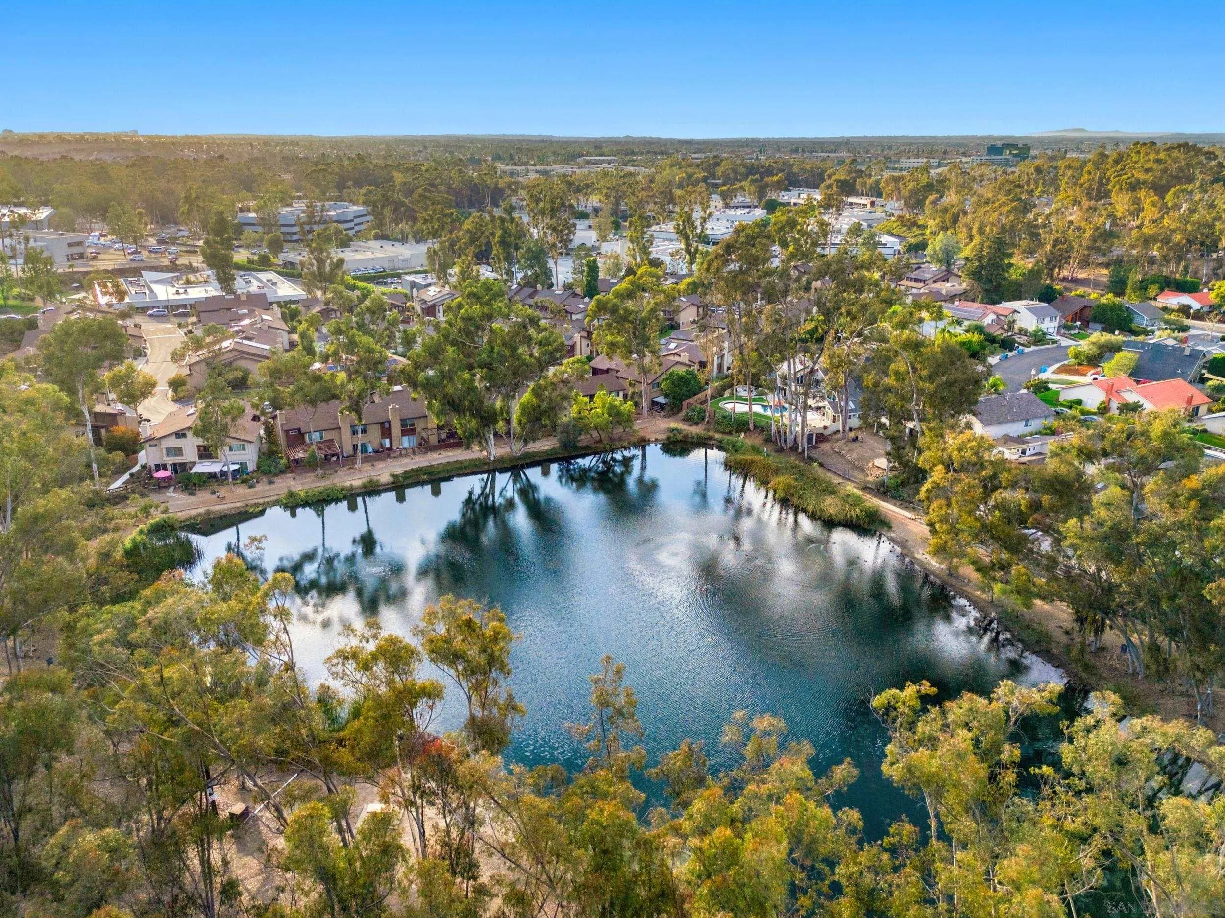 https://cdn.realtyfeed.com/cdn/127/260022527/8df53940e6c104ad698b8e8573d812cf.webp