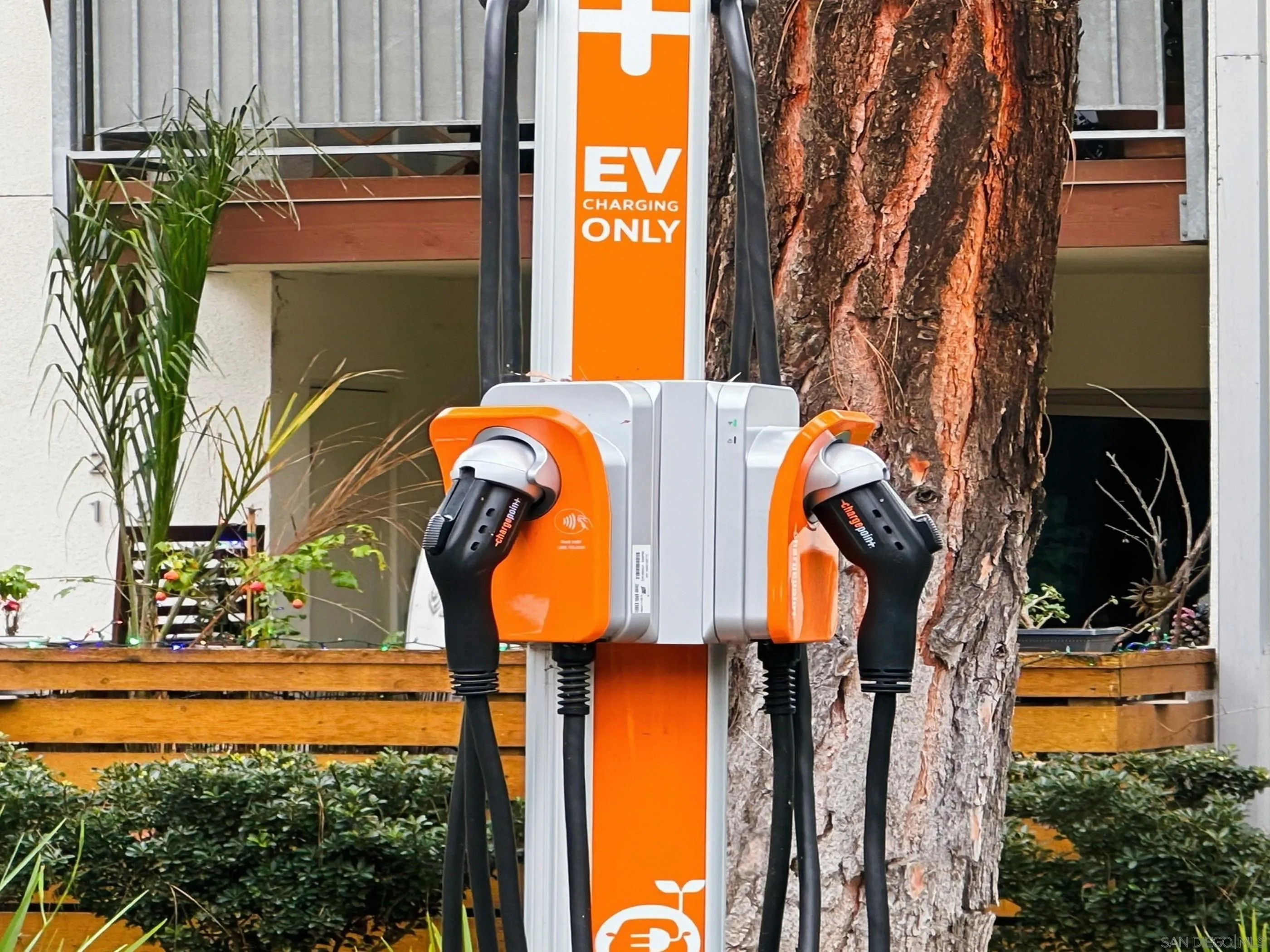 Photo #35: 2600233 Listing: Photo #35