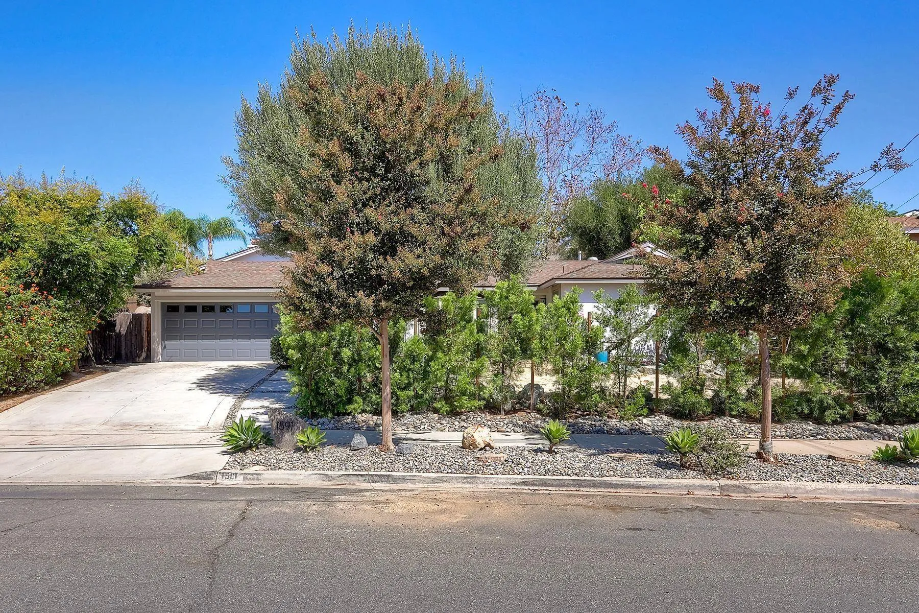 1591 Olive Hills
