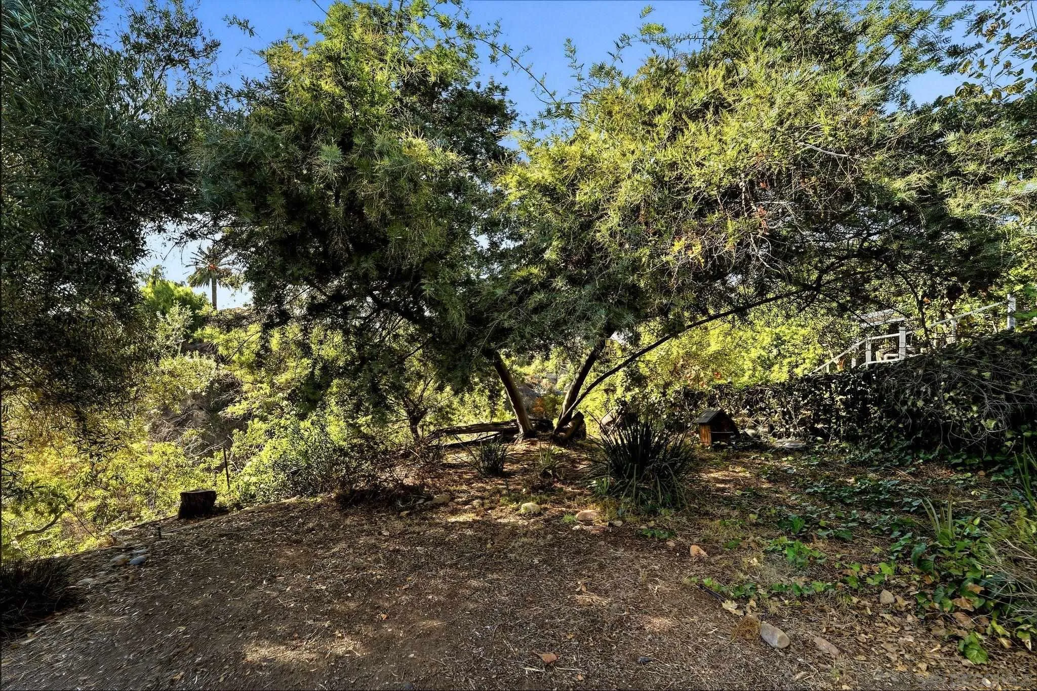 https://cdn.realtyfeed.com/cdn/127/260023901/17c196cd34a4c7fec64631bcf641ee24.webp