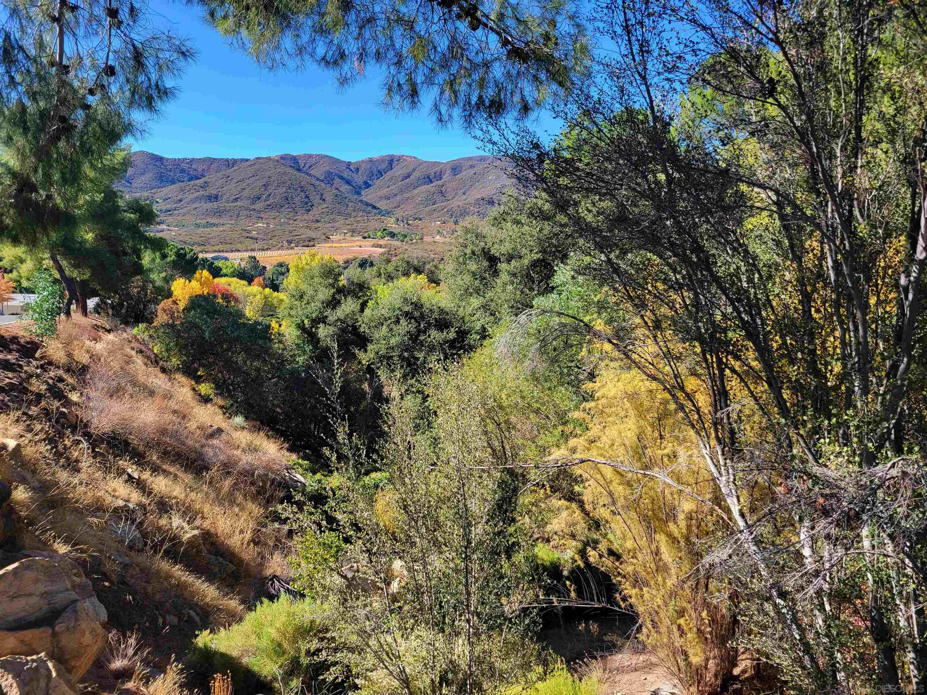 35019 Highway 79 #Space 95, Warner Springs, CA 92086, photo 51