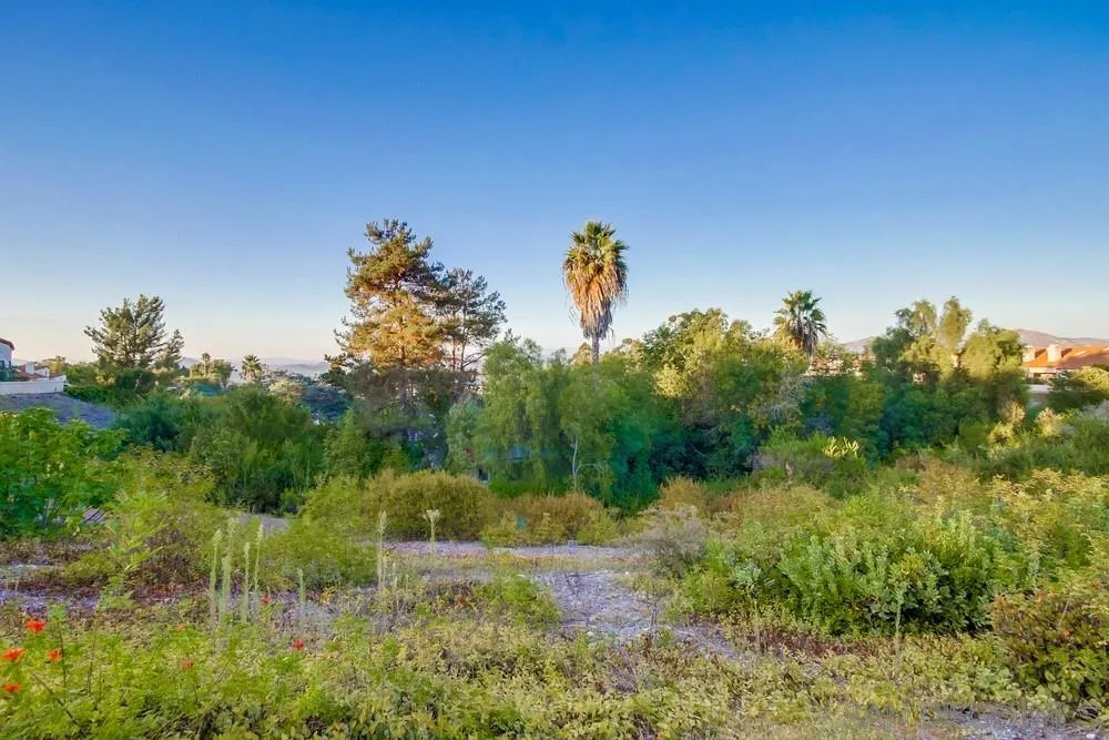 https://cdn.realtyfeed.com/cdn/127/260024521/16595b1c765c226300a0567a9fe41c79.webp