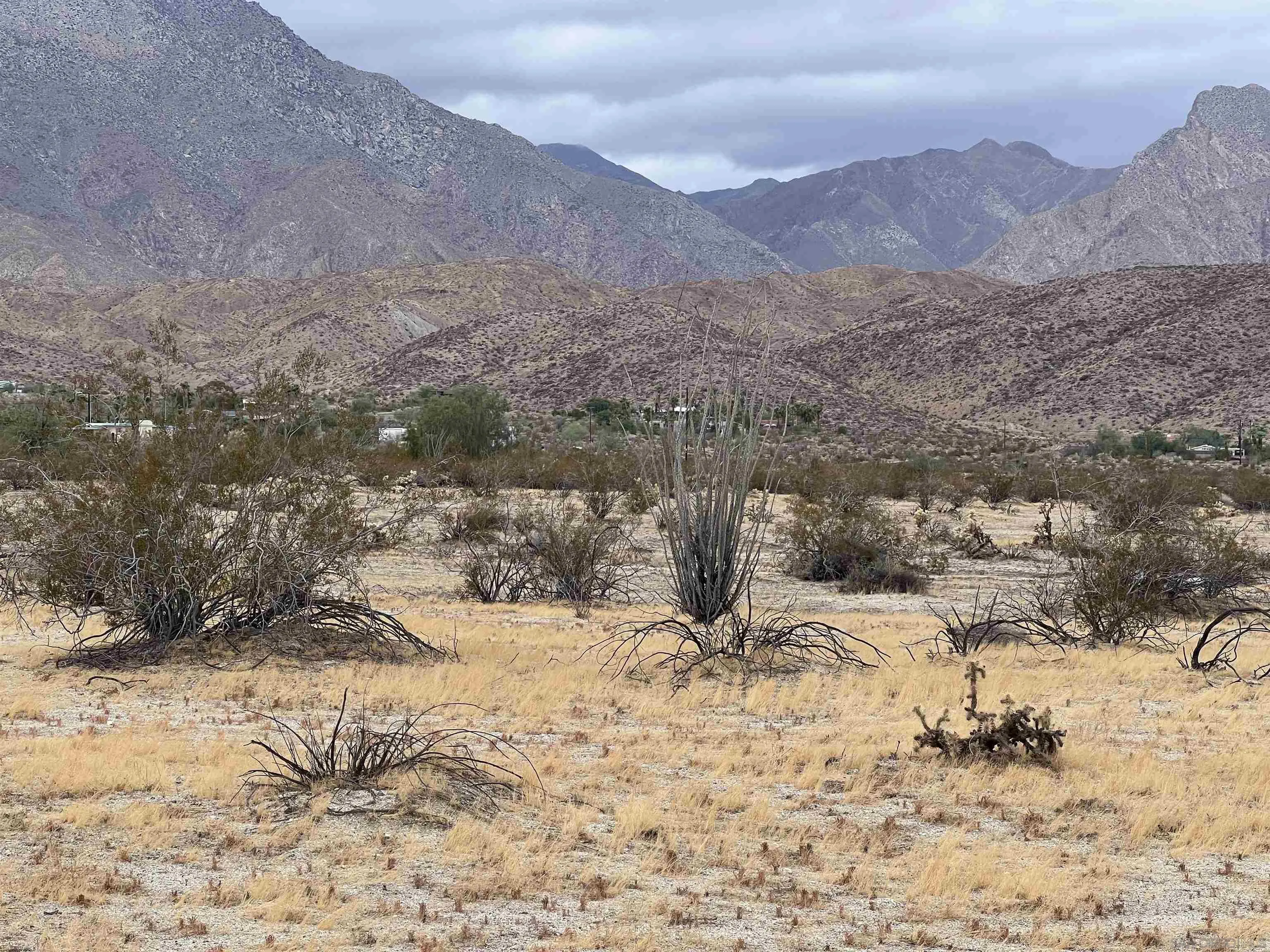 Lot 213 Borrego Springs Rd, Borrego Springs, CA 92004, photo 8