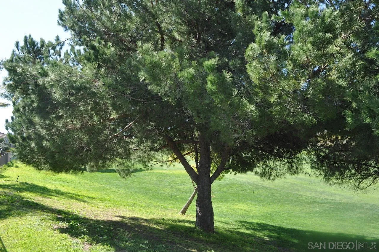 2387 Forest Meadow Court, Chula Vista, CA 91915, photo 10