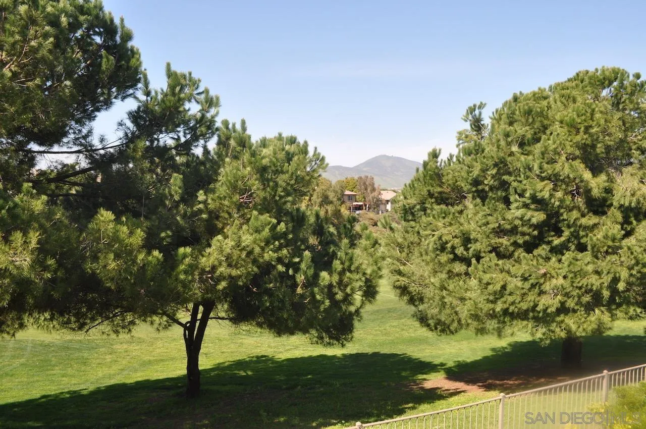 2387 Forest Meadow Court, Chula Vista, CA 91915, photo 19