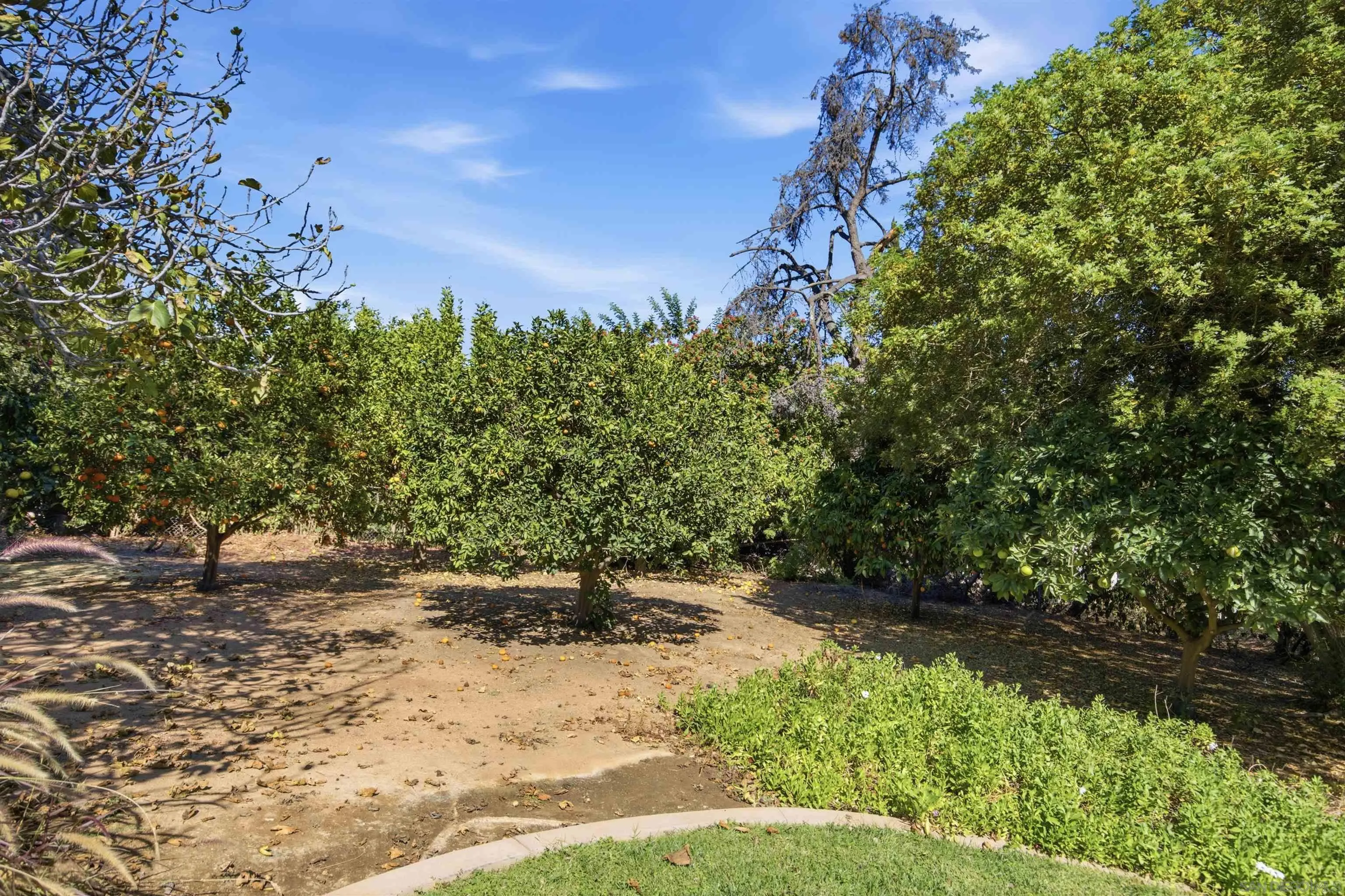 13678 Orchard Gate Road, Poway, Ca, CA 92064, photo 38