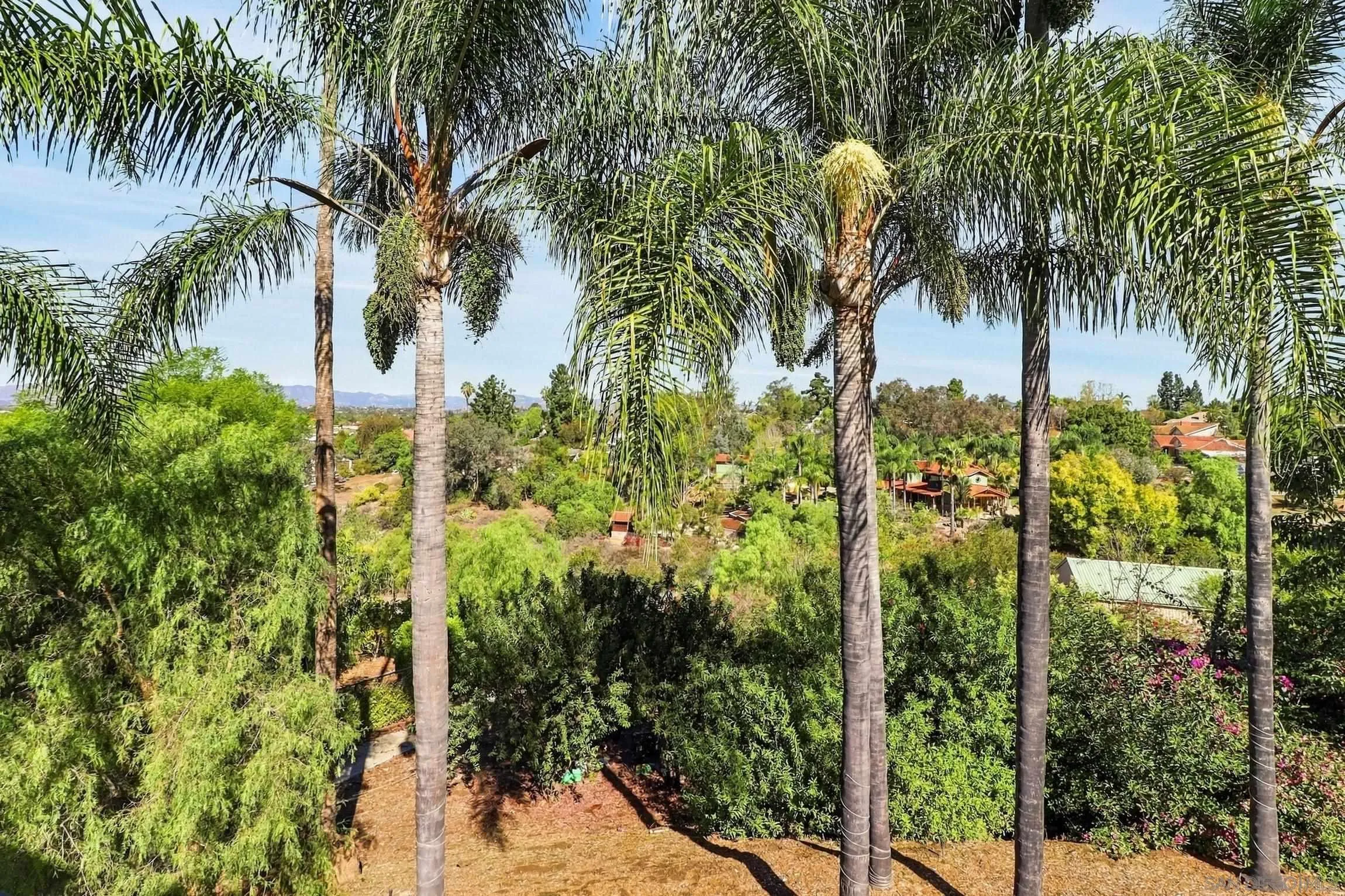 3144 Alta Verde Dr., Fallbrook, CA 92028 3144 Alta Verde Dr., Fallbrook, CA 92028