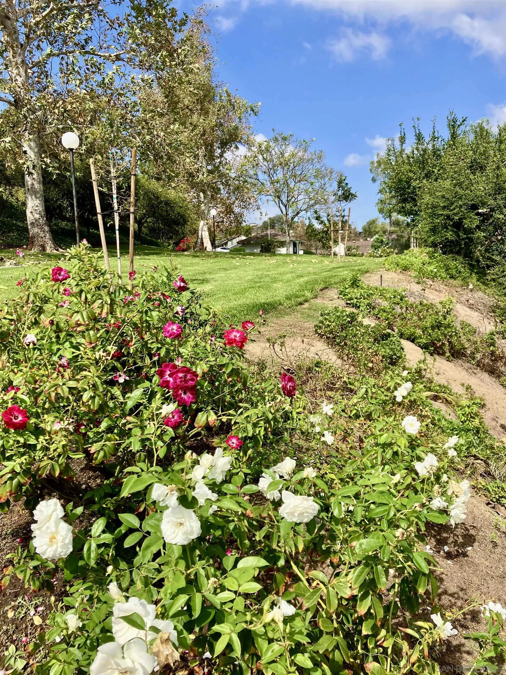 2158 Country Pl, Escondido, CA 92026 2158 Country Pl, Escondido, CA 92026