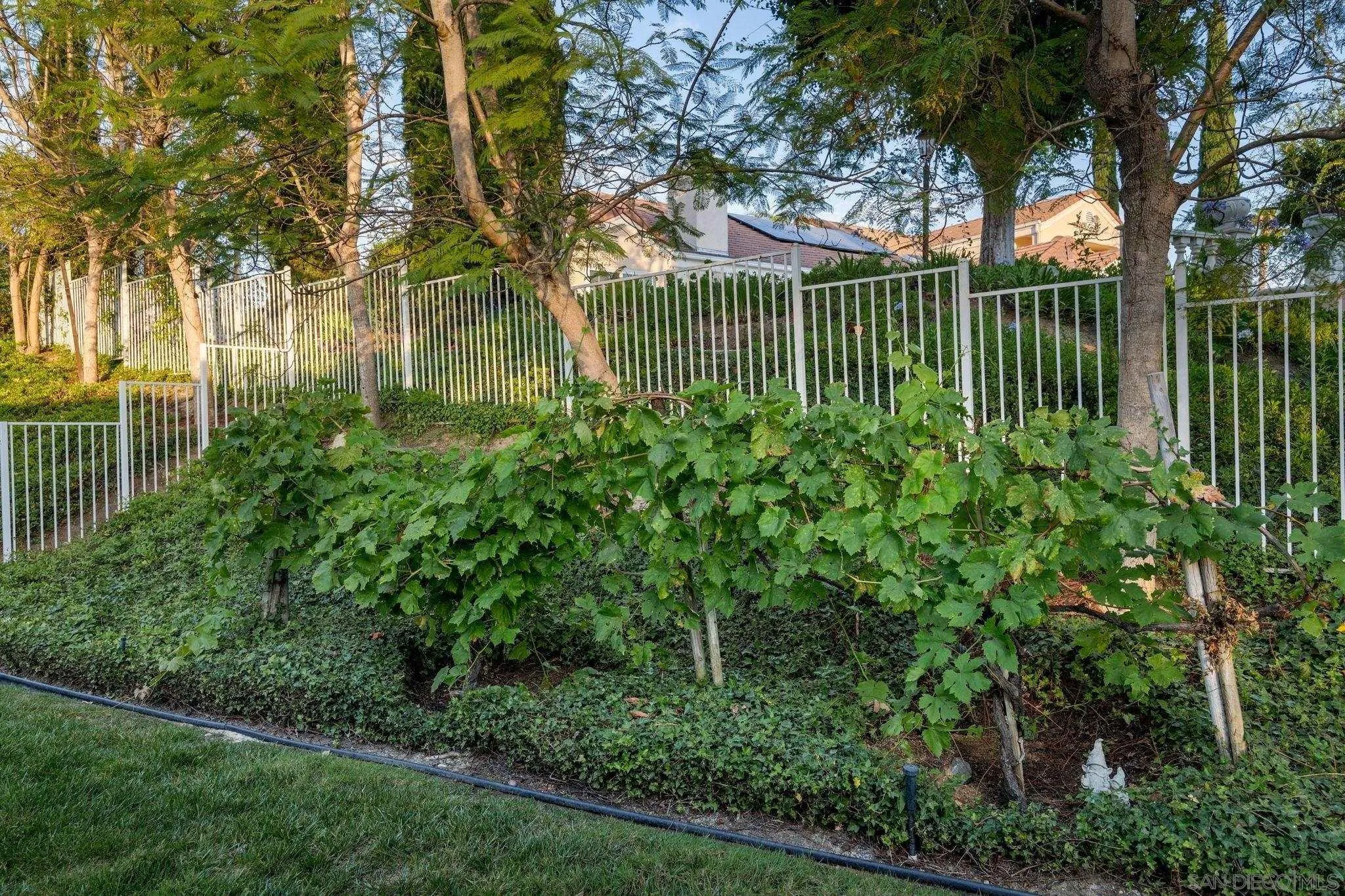 16238 Country Day, Poway, CA 92064