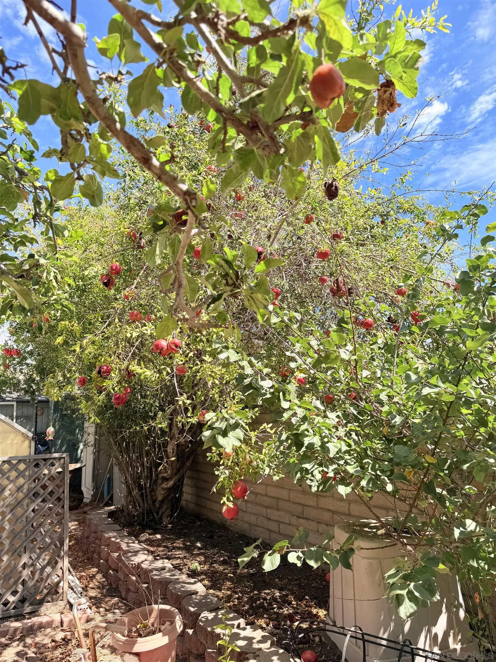 7320 Jackson Drive, San Diego, CA 92119