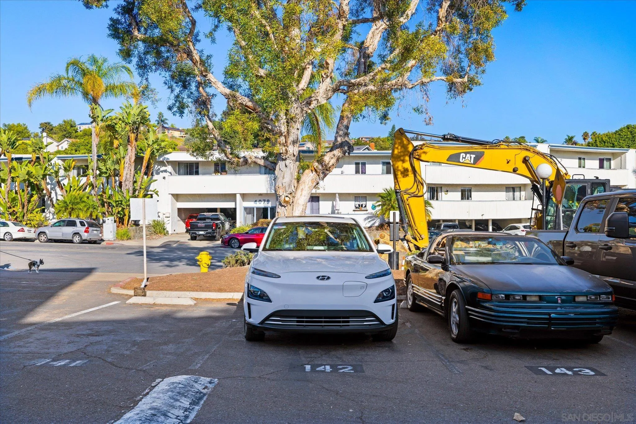 Photo #29: 2600257 Listing: Photo #29