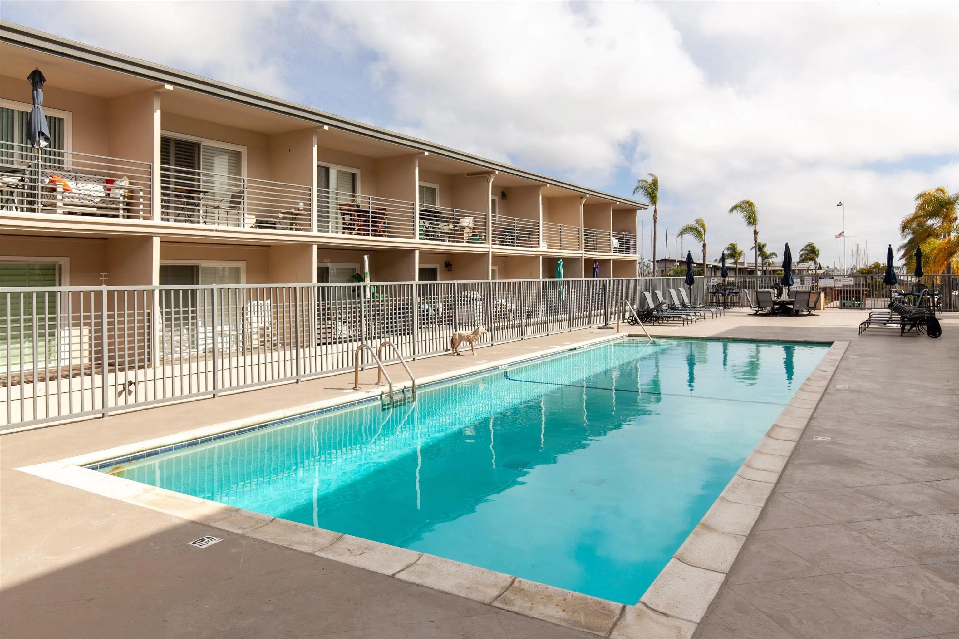 1021 Scott, #107, San Diego, CA 92106 1021 Scott, #107, San Diego, CA 92106