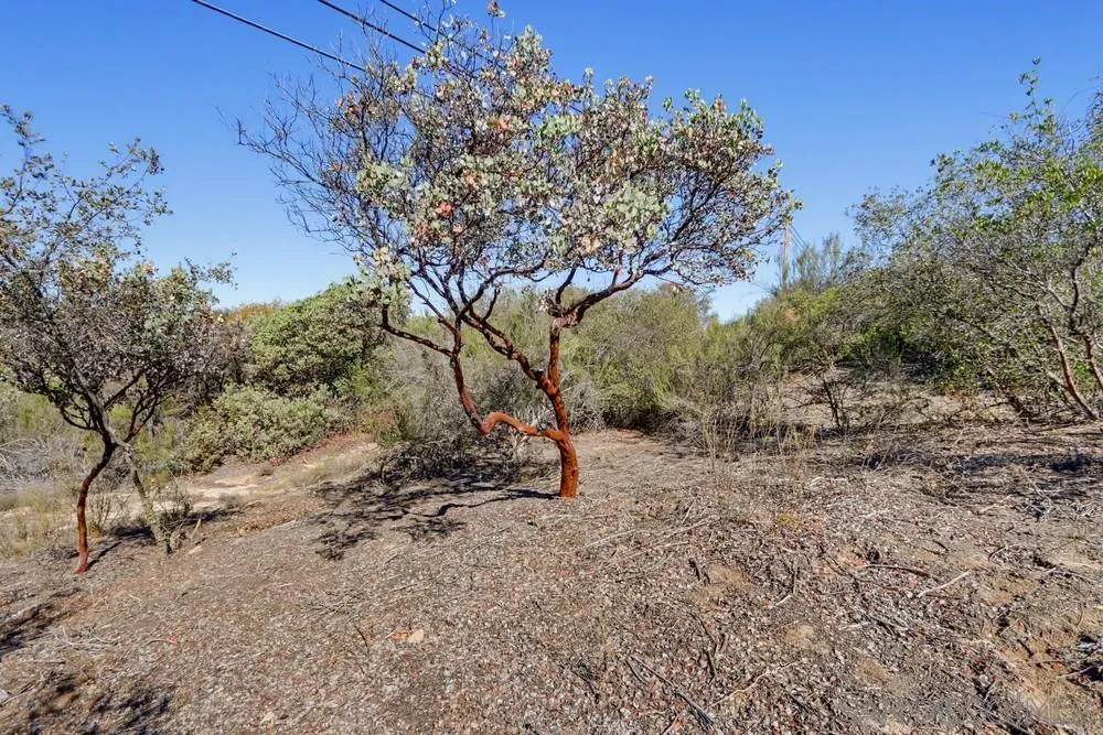 17532 Rav Ct, Jamul, CA 91935 17532 Rav Ct, Jamul, CA 91935